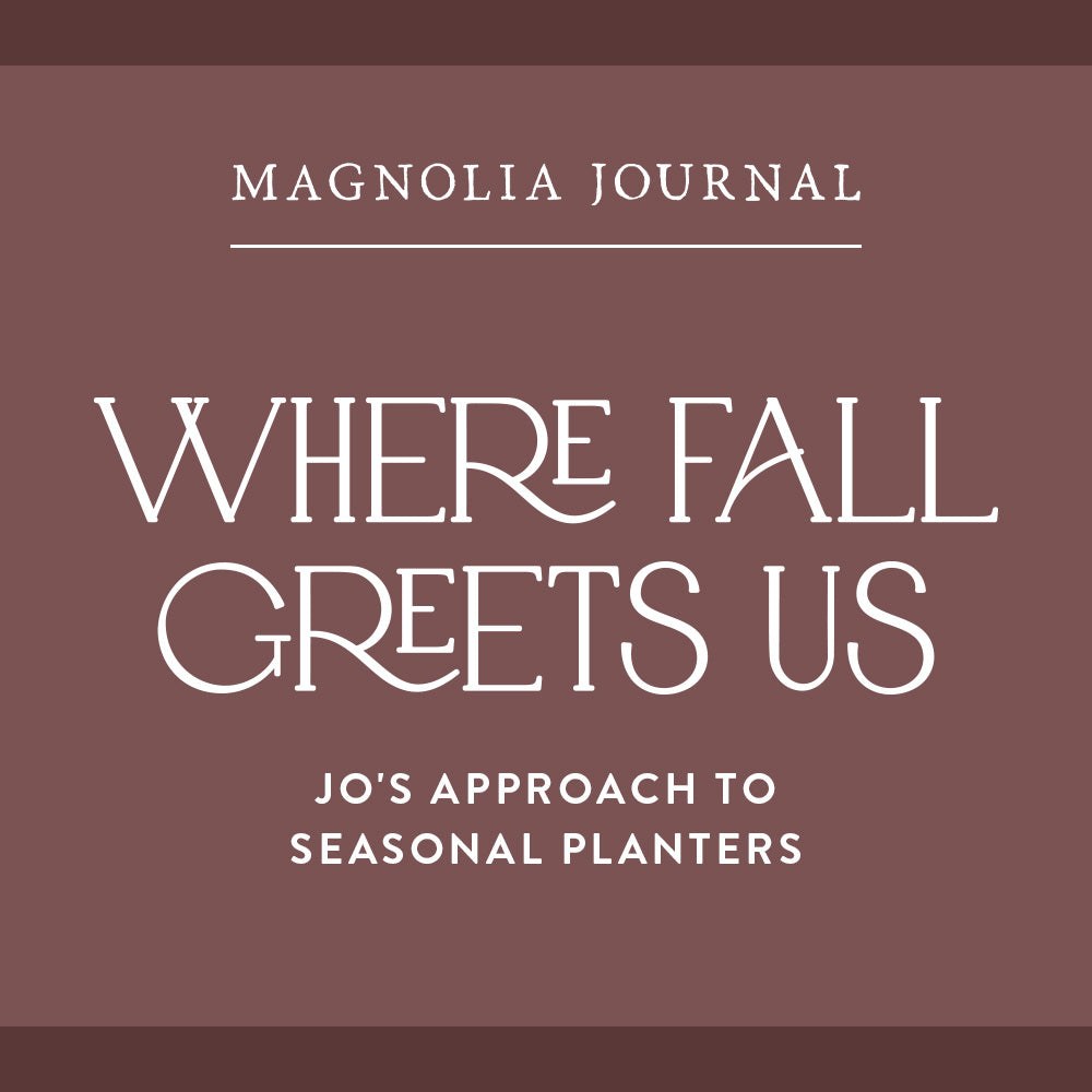 From the Journal: Where Fall Greets Us
