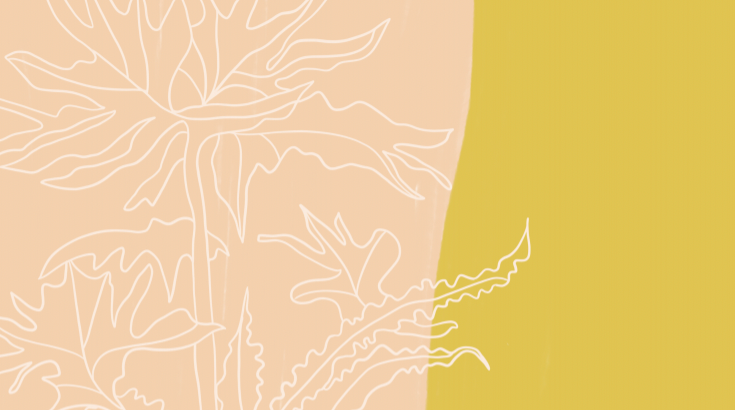 Magnoliass image