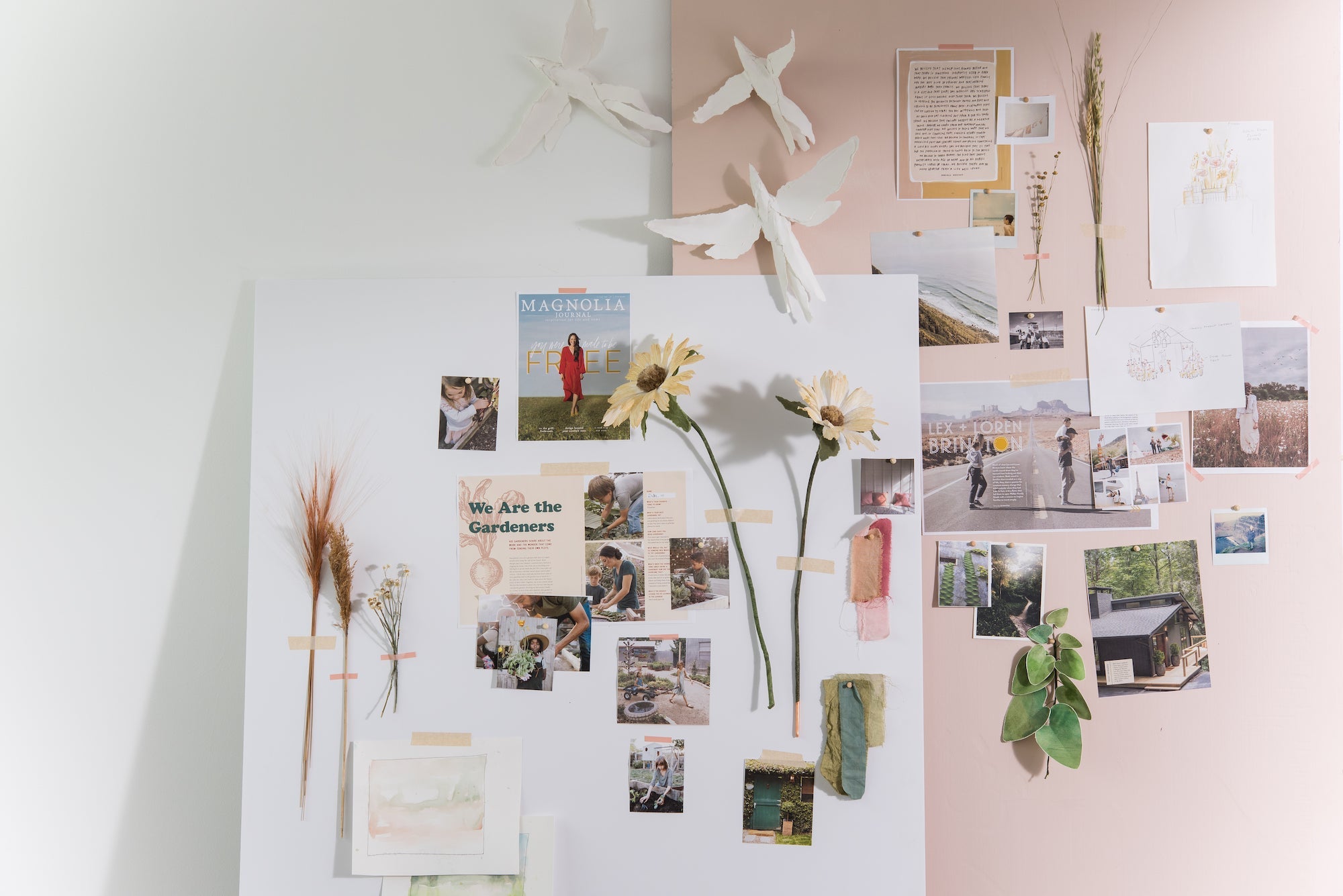 Magnoliass image
