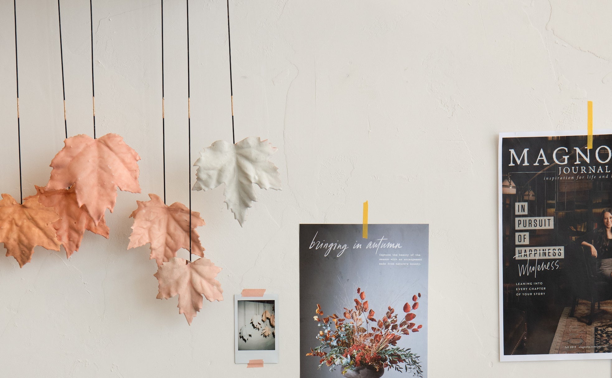 Magnoliass image