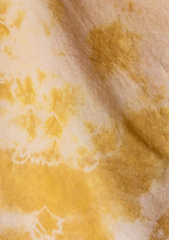 Magnoliass image