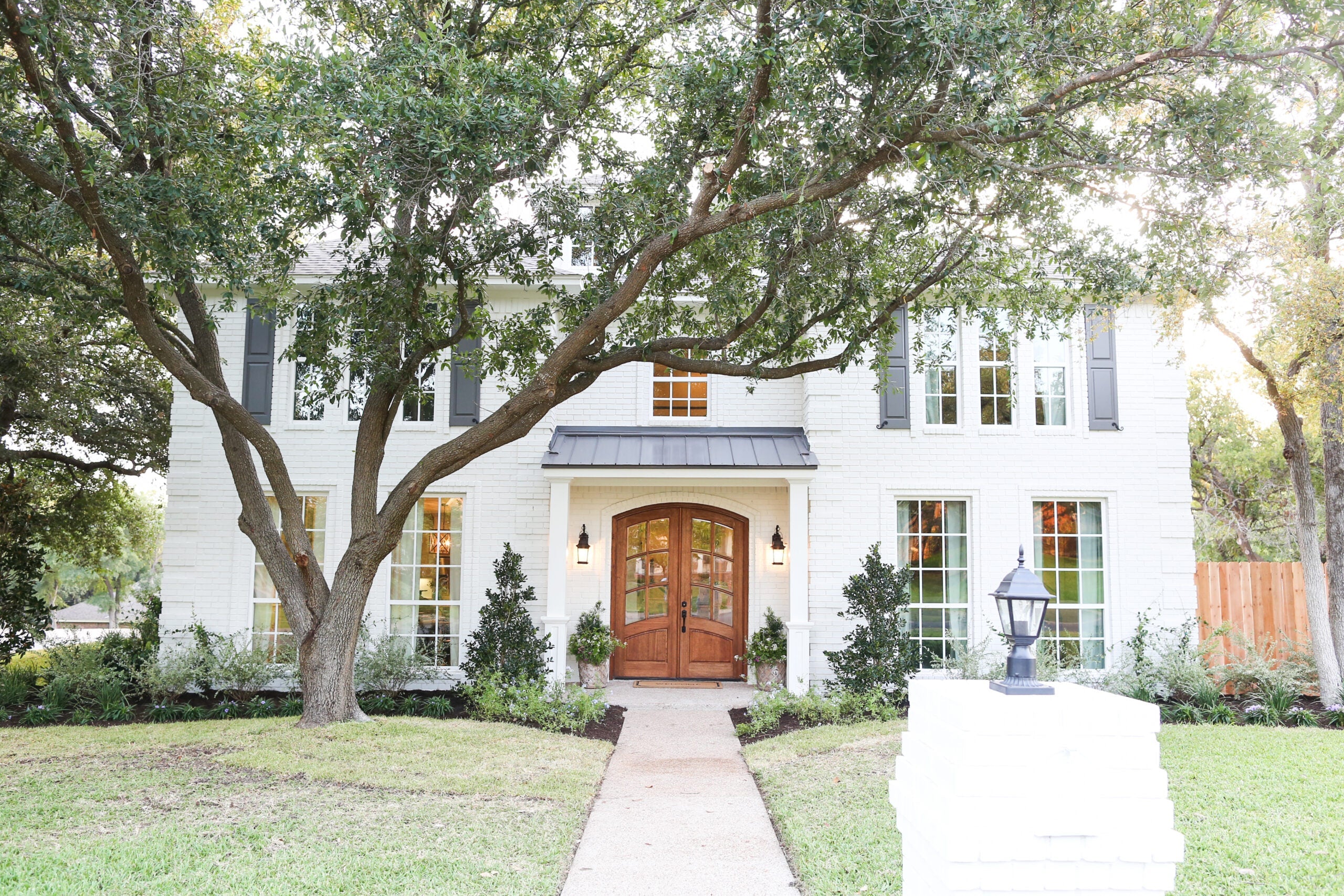 Magnoliass image