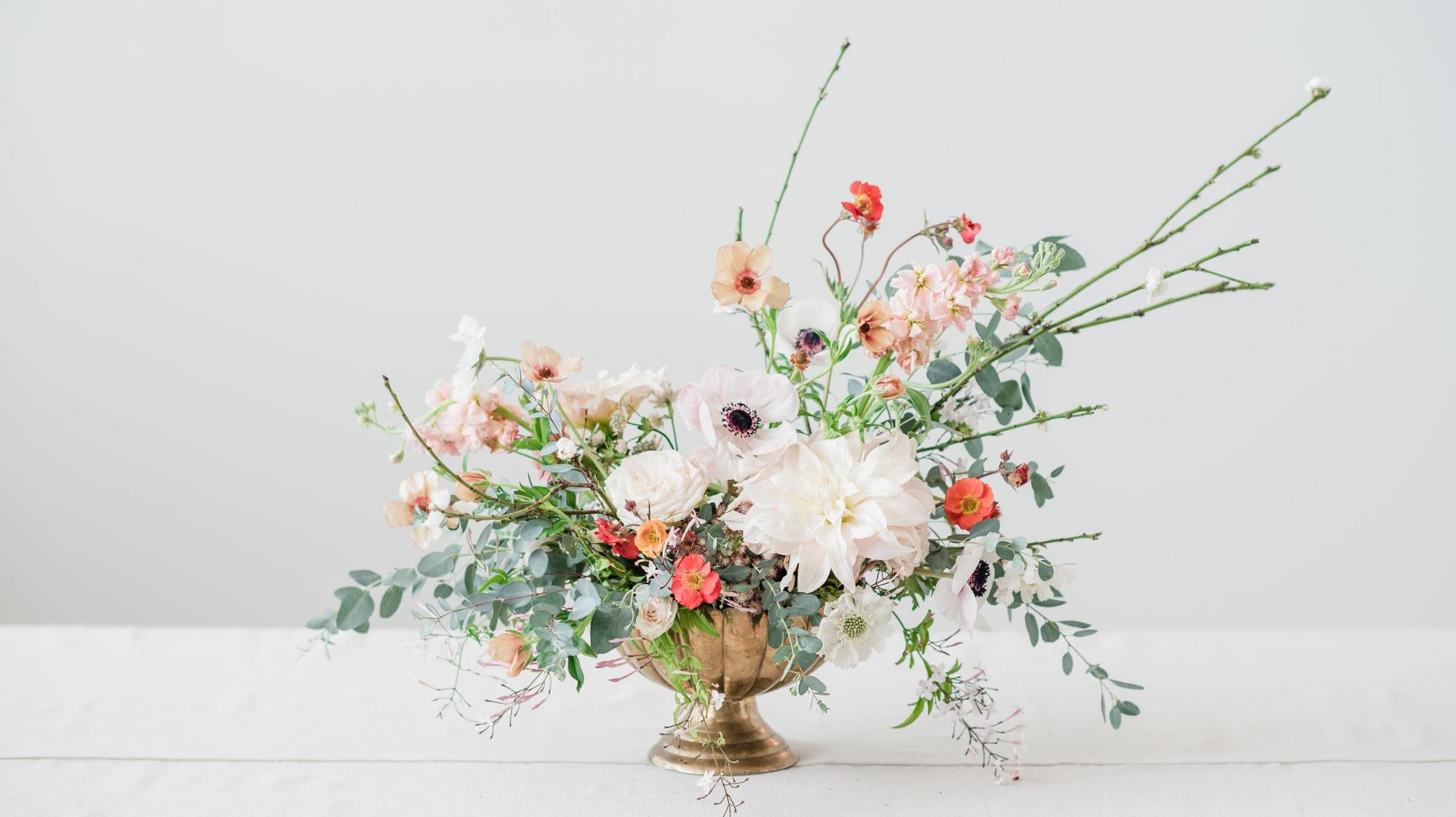 Magnoliass image