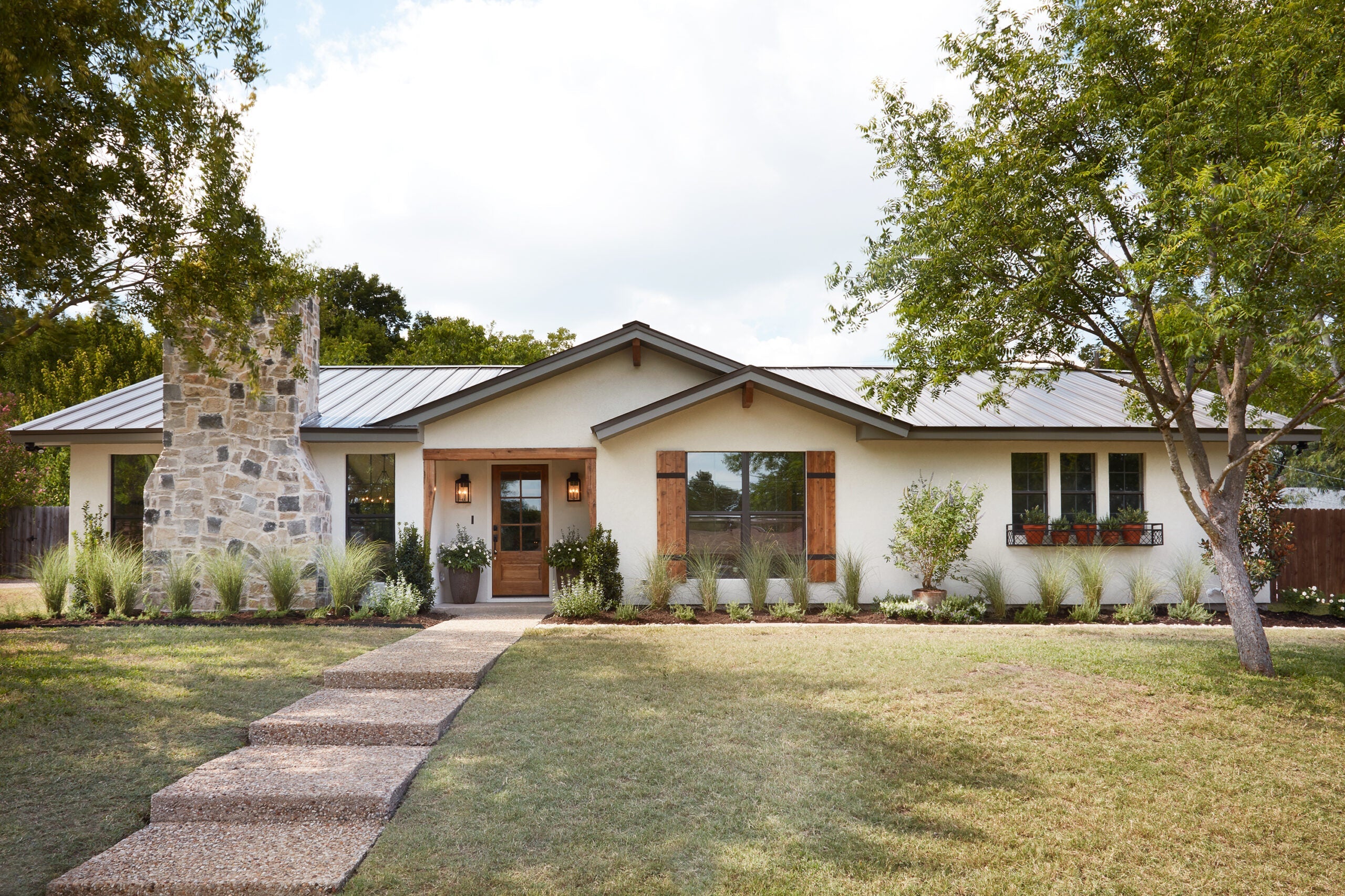 Magnoliass image
