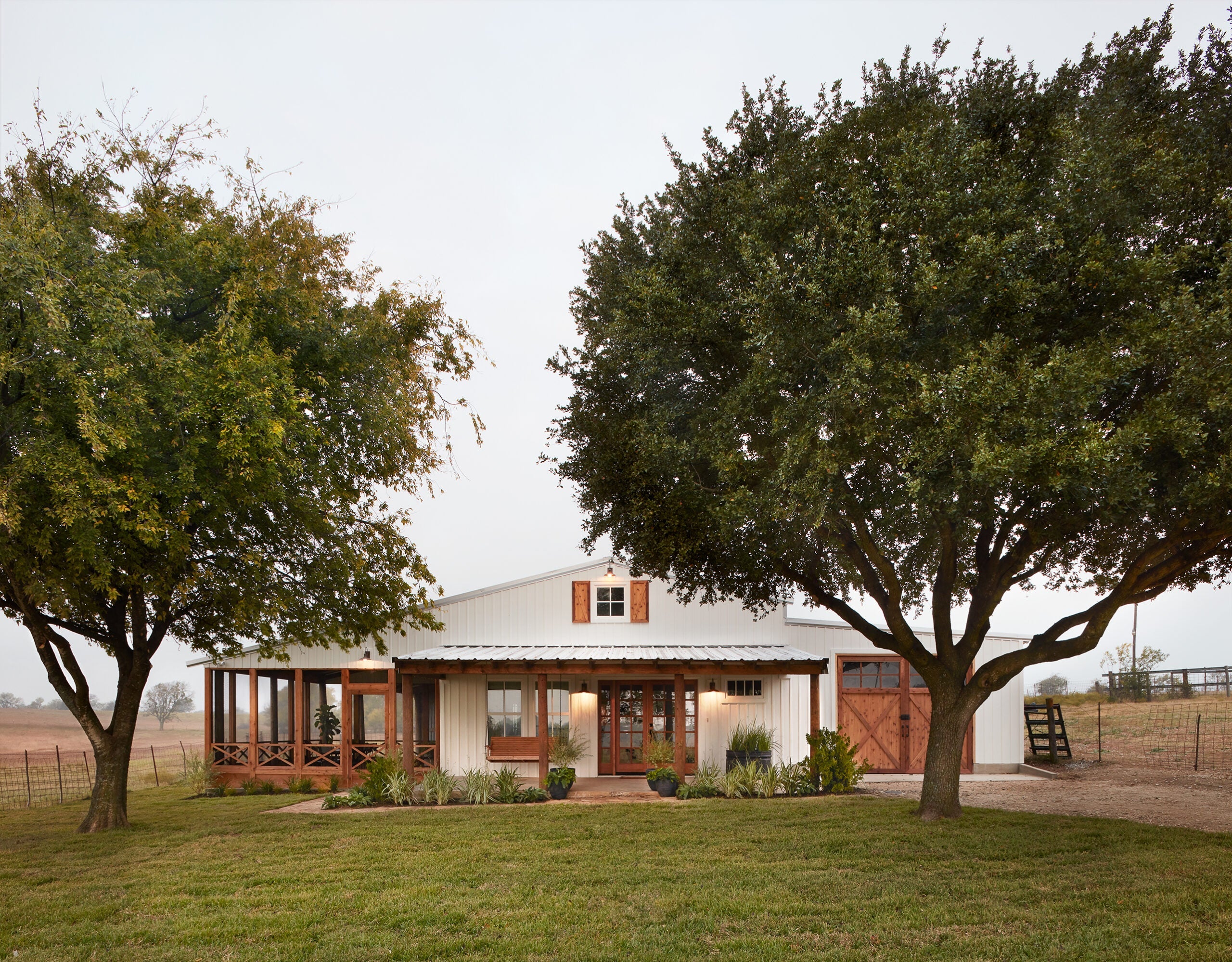 Magnoliass image