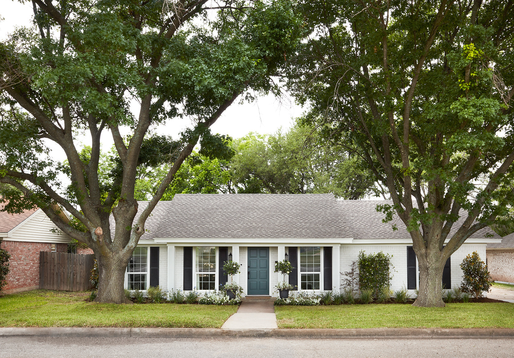 Magnoliass image