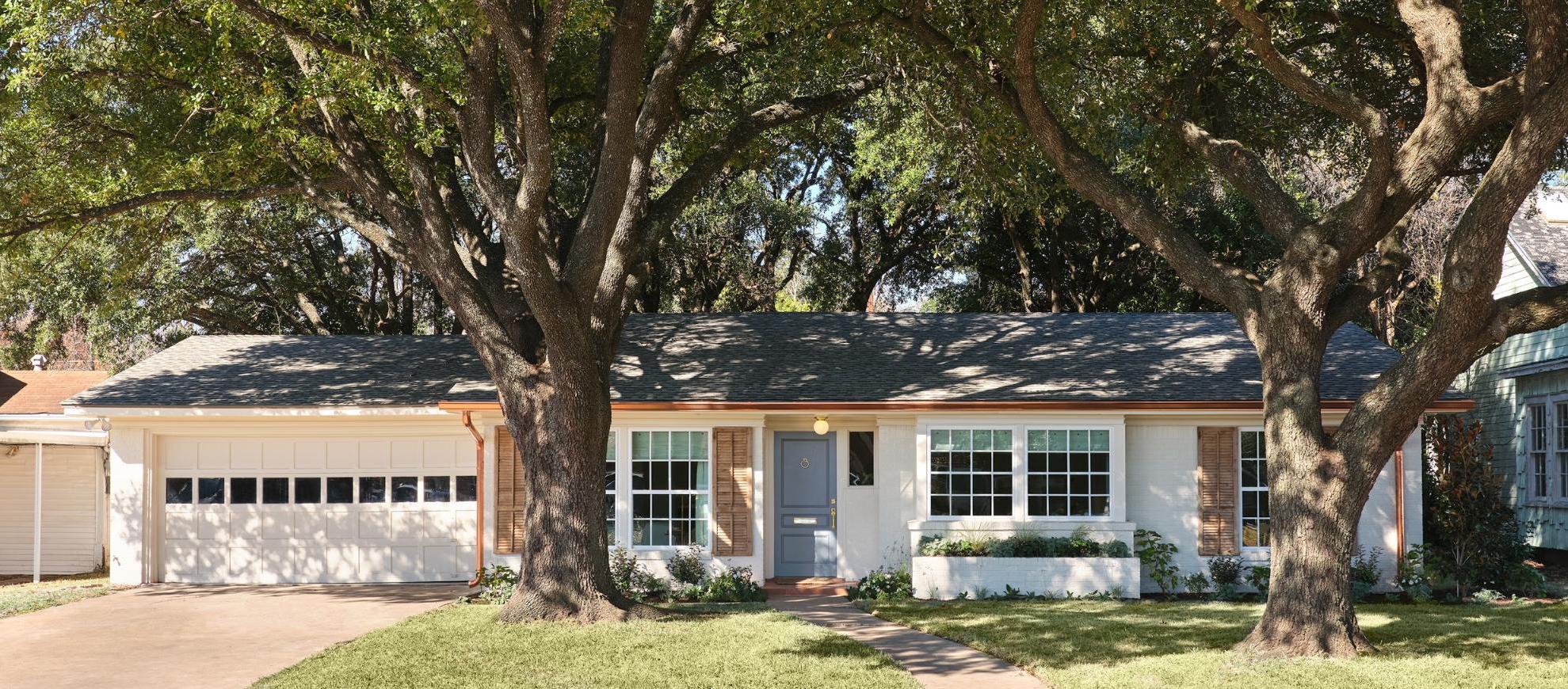 Magnoliass image