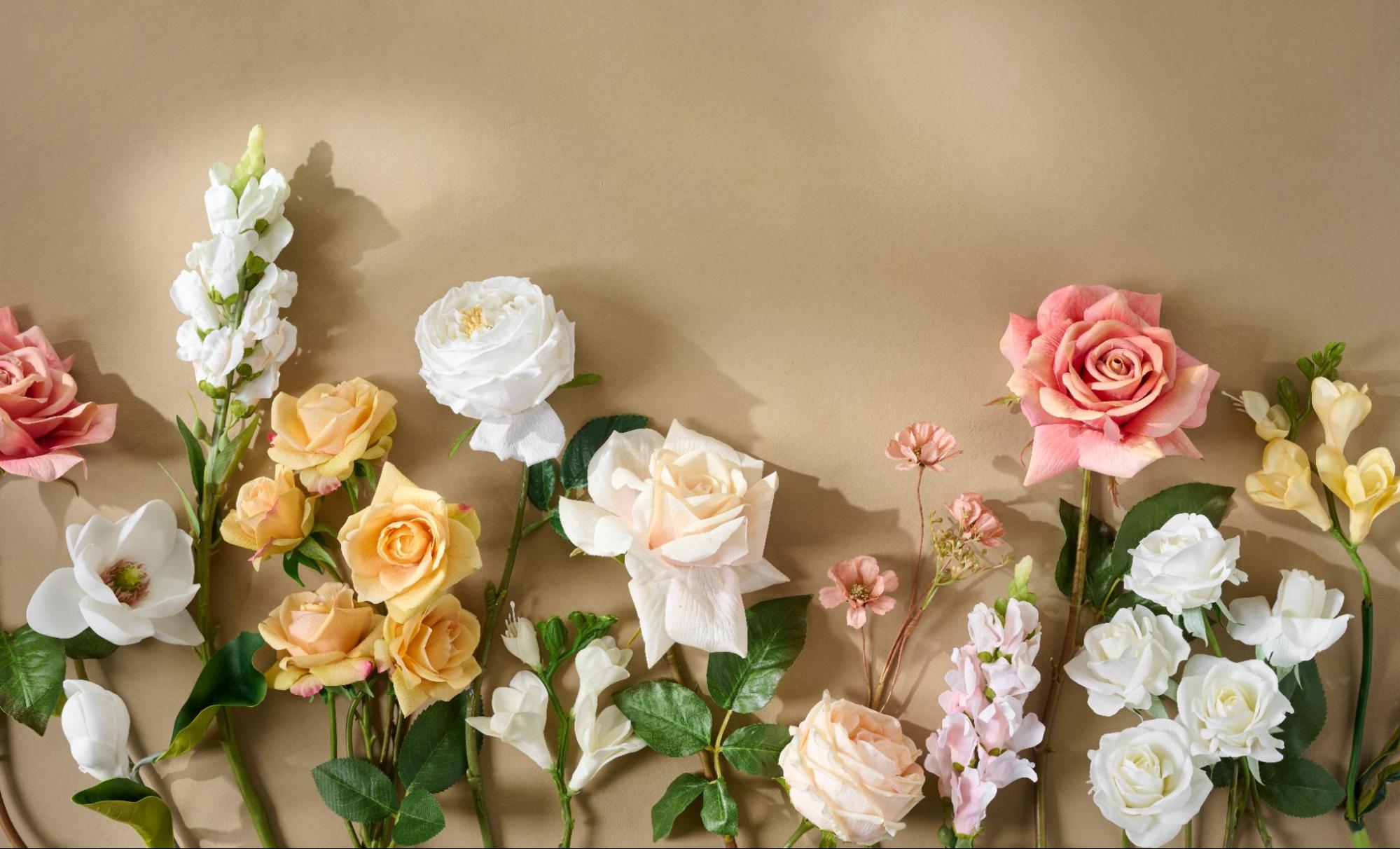 Magnoliass image