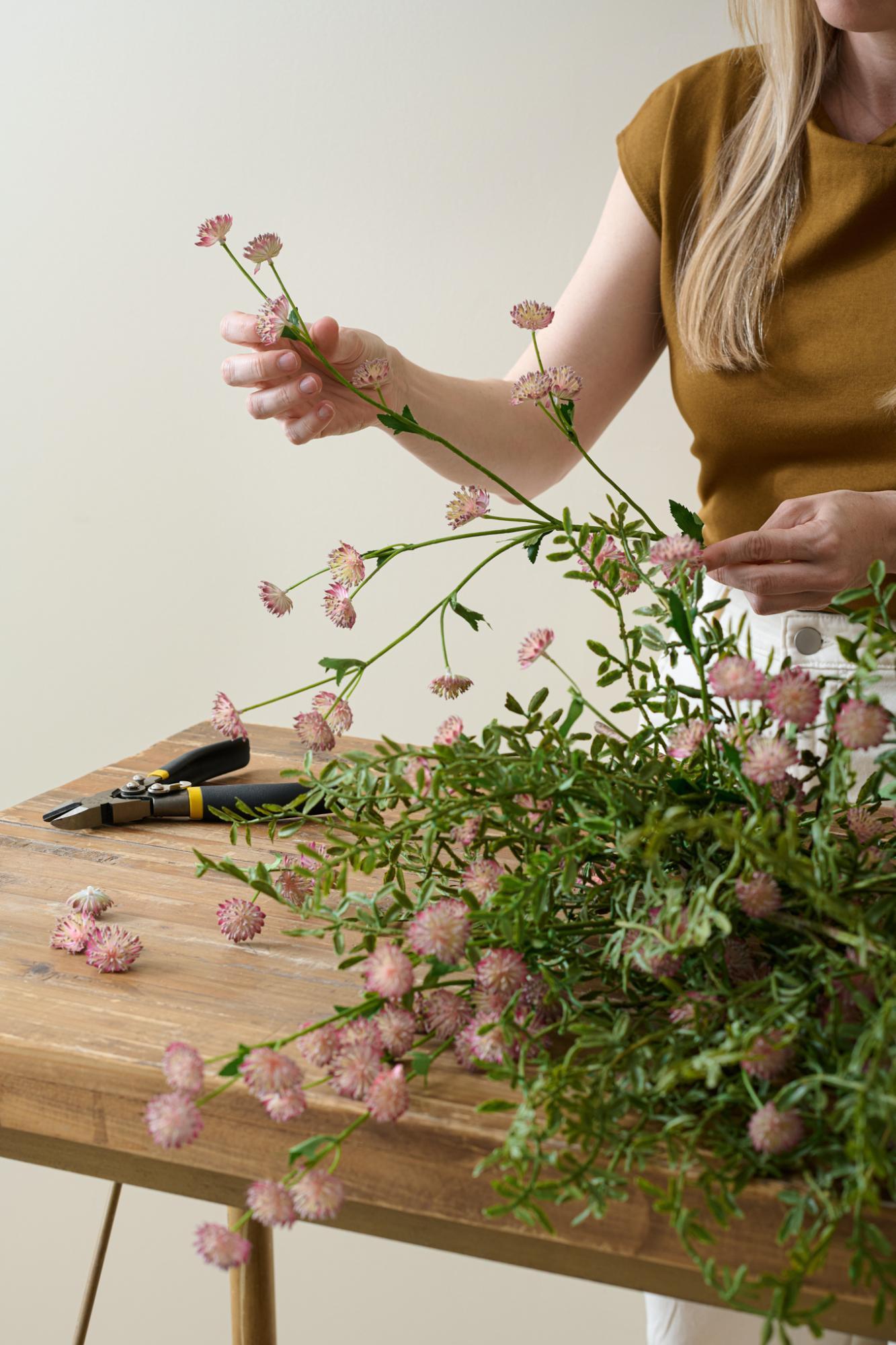 Magnoliass image