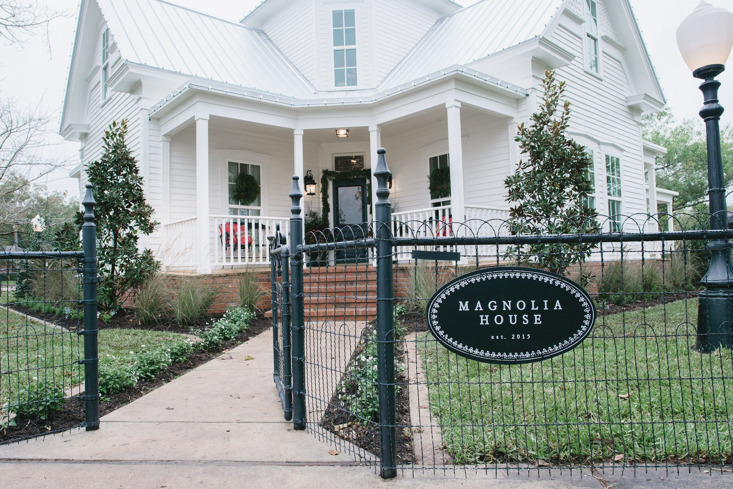 Magnoliass image