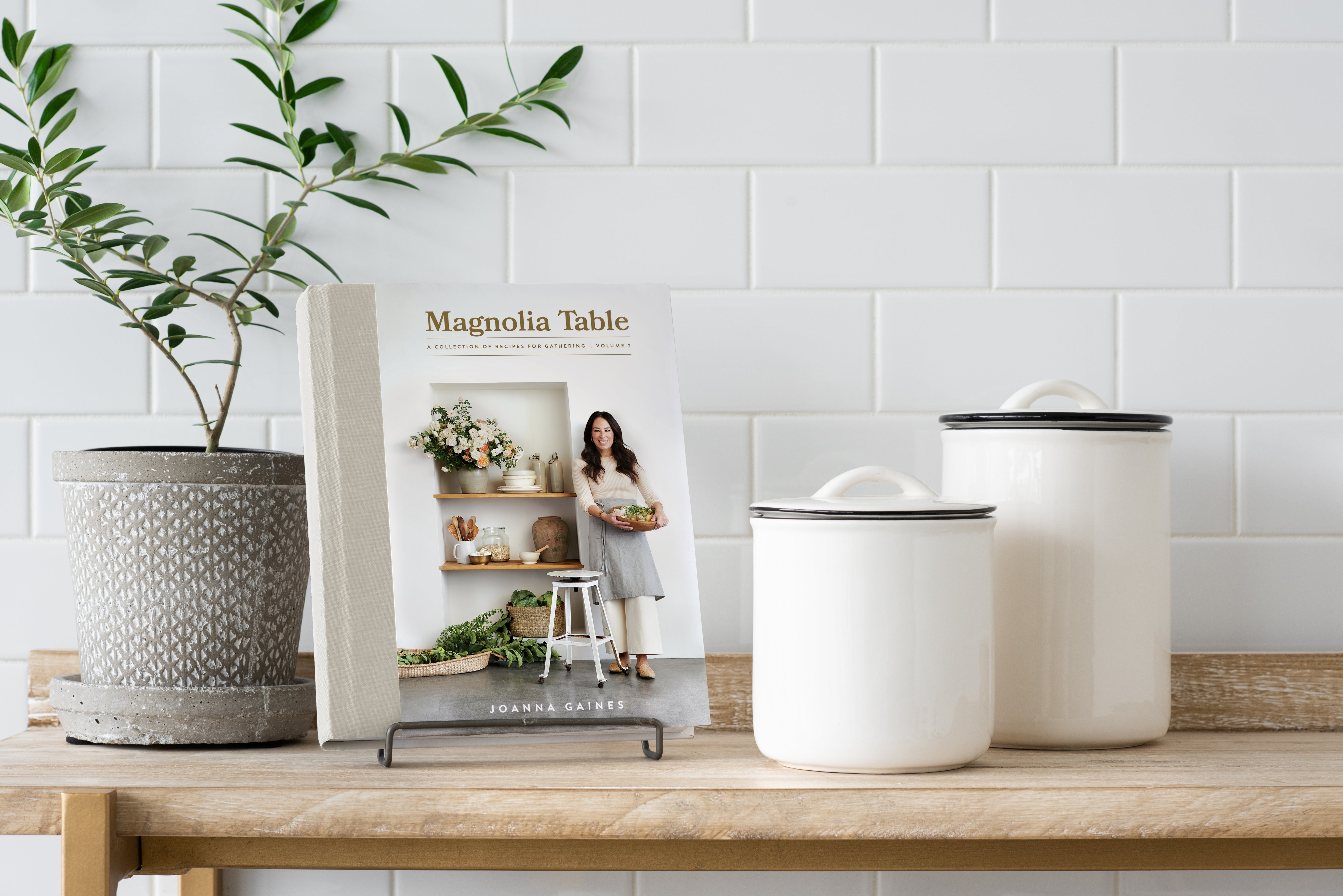 Magnoliass image