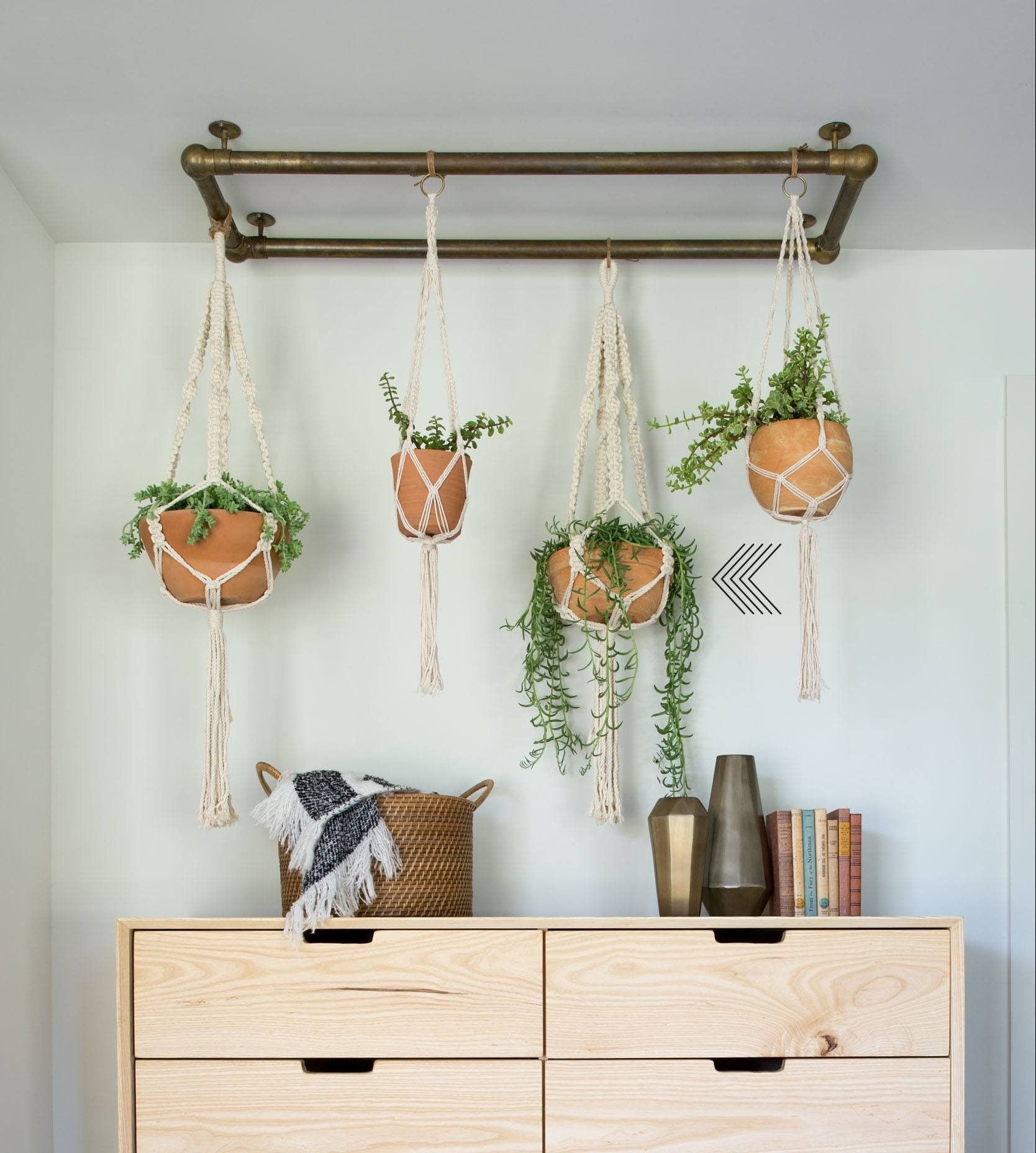 Magnoliass image