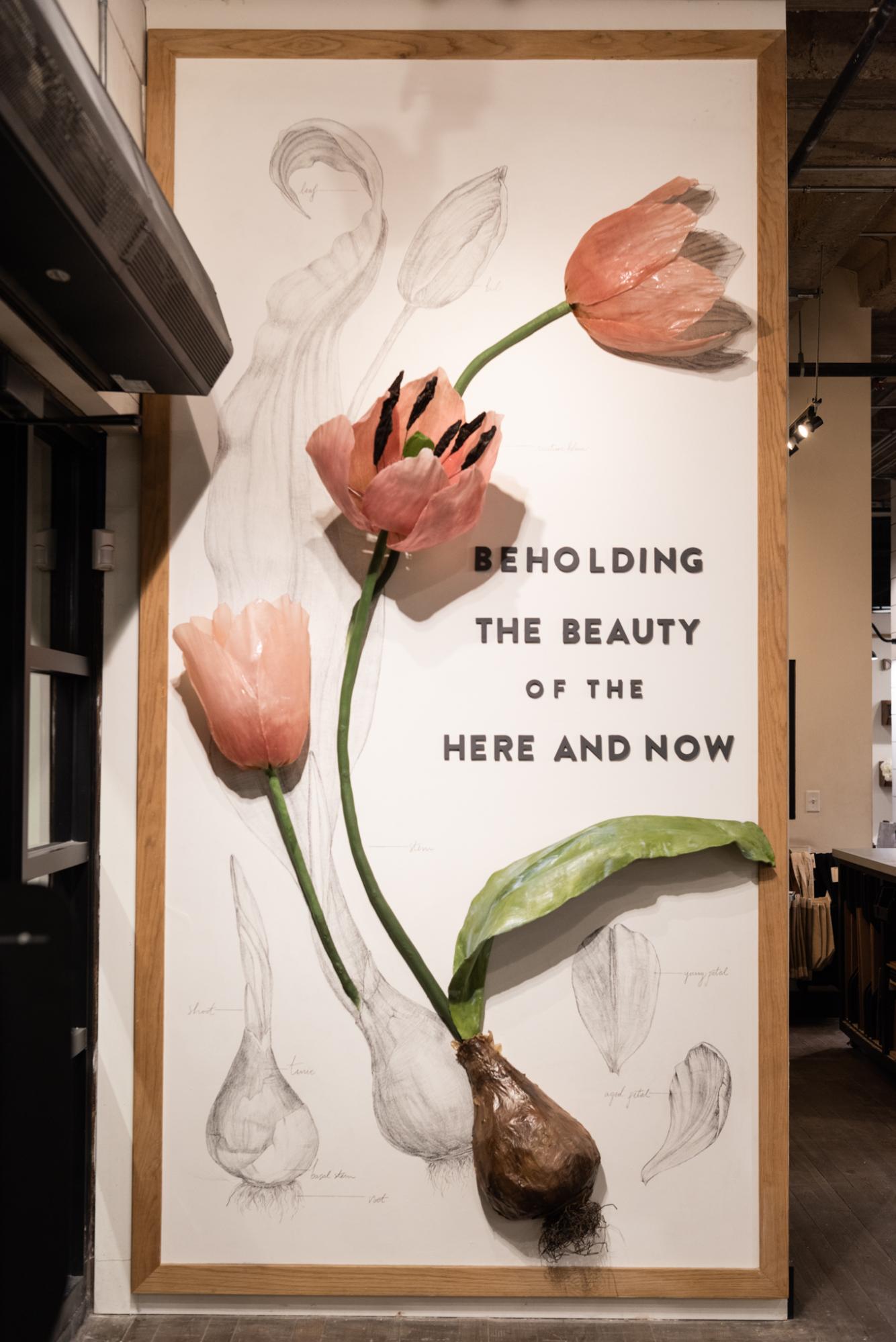 Magnoliass image