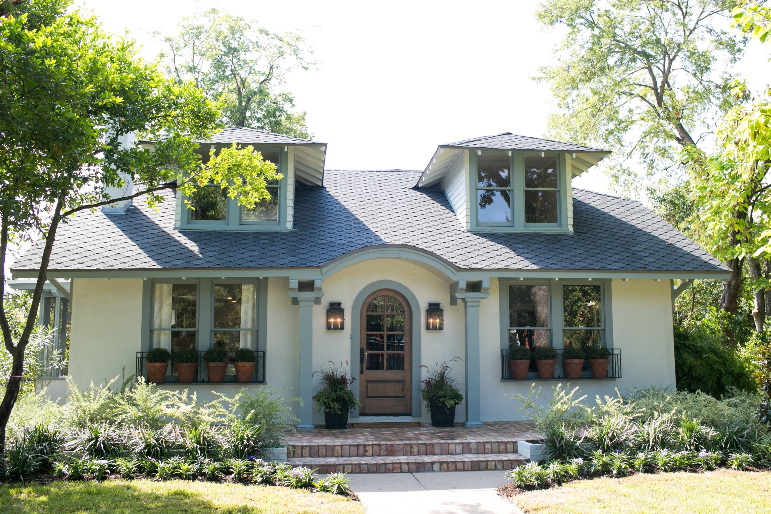 Magnoliass image