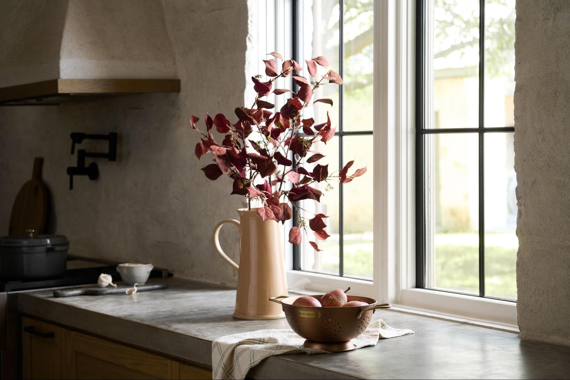 Magnoliass image