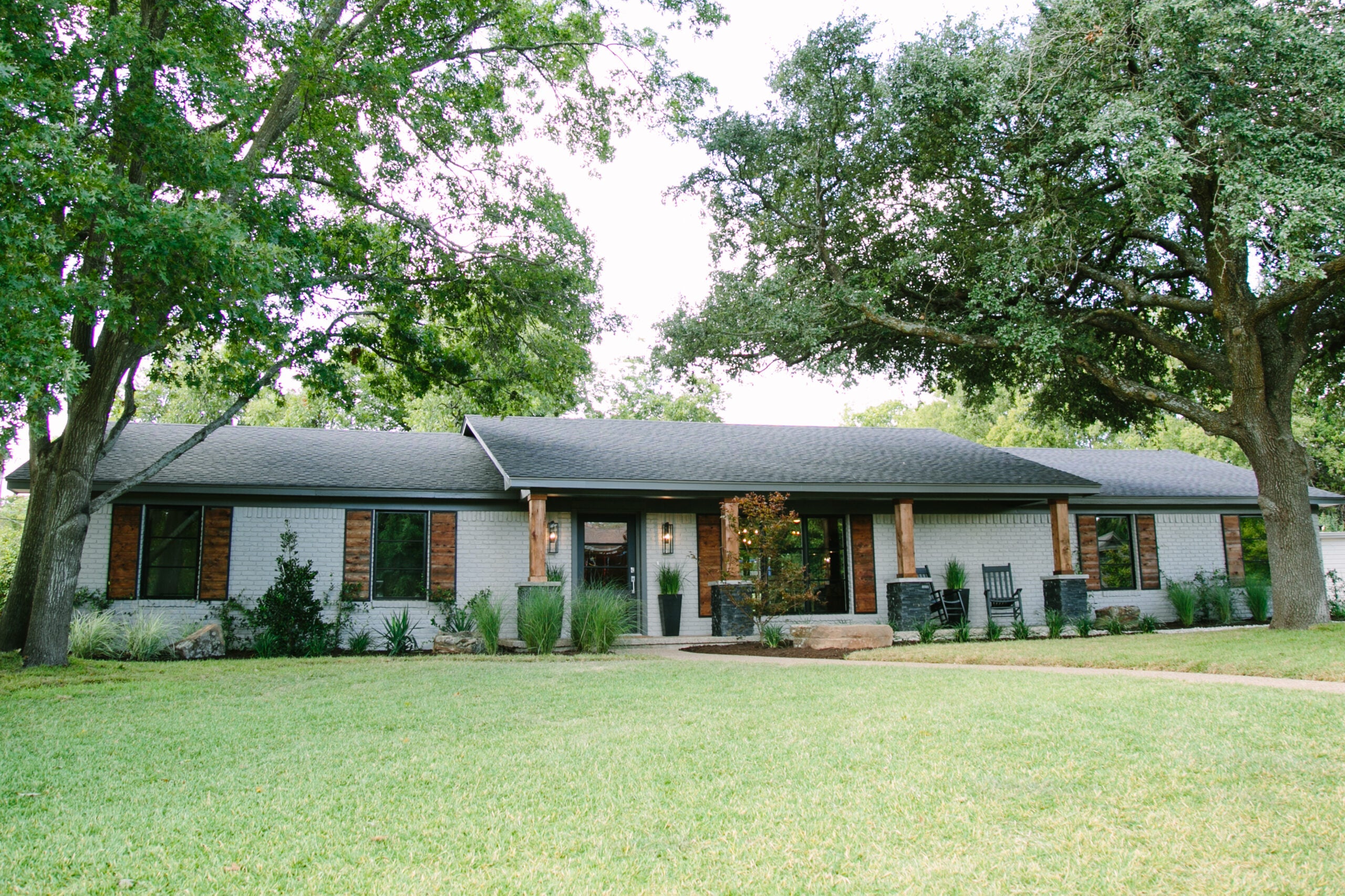 Magnoliass image