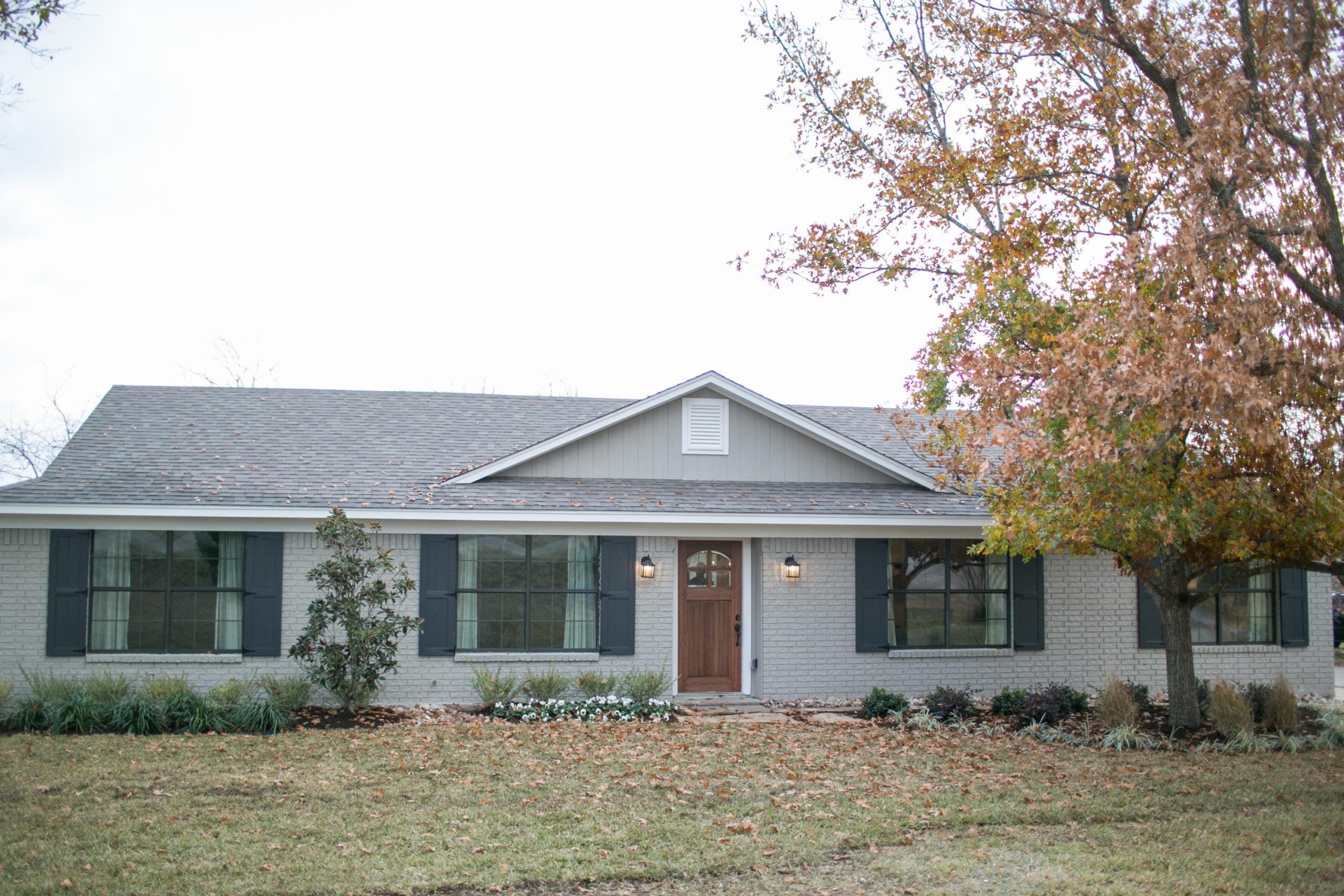 Magnoliass image