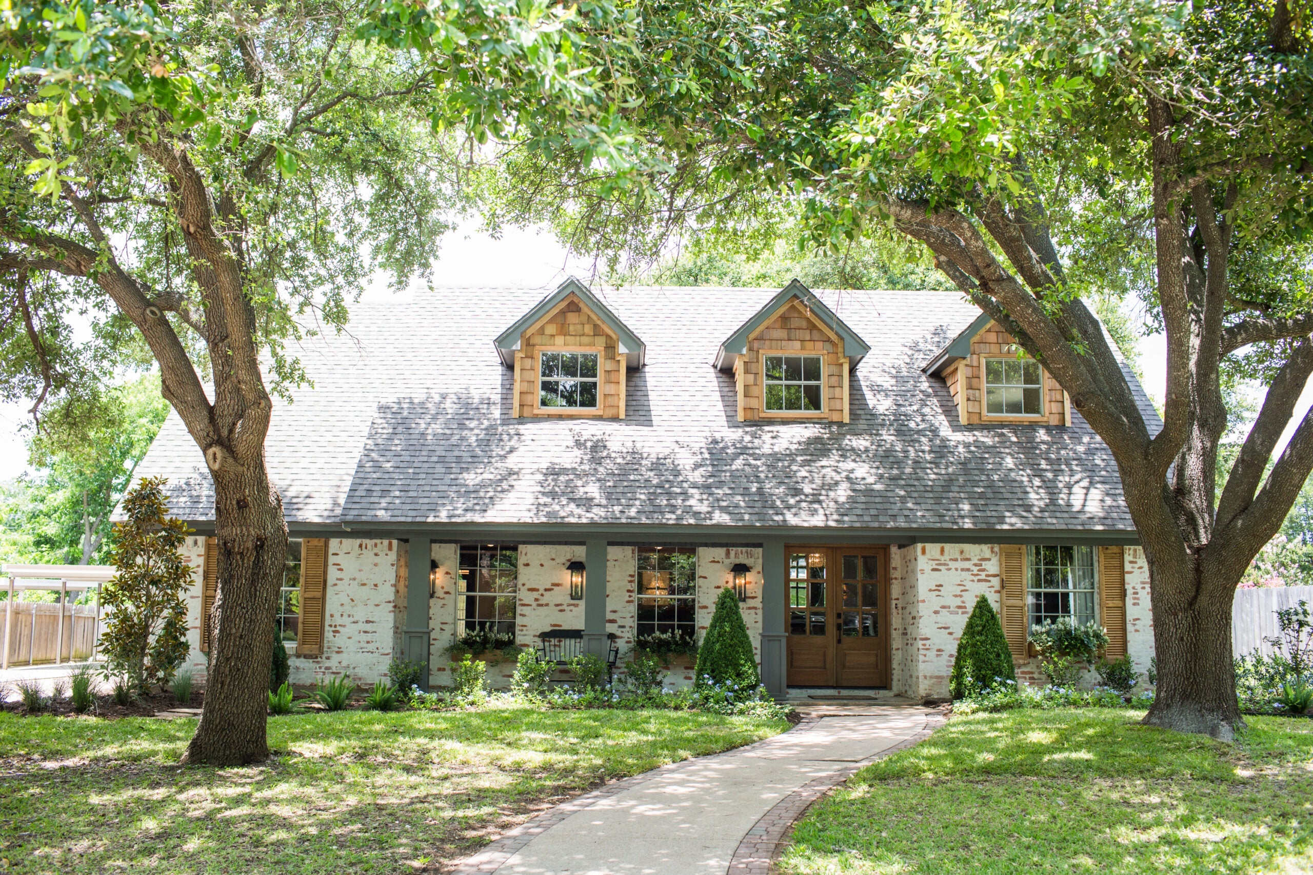 Magnoliass image