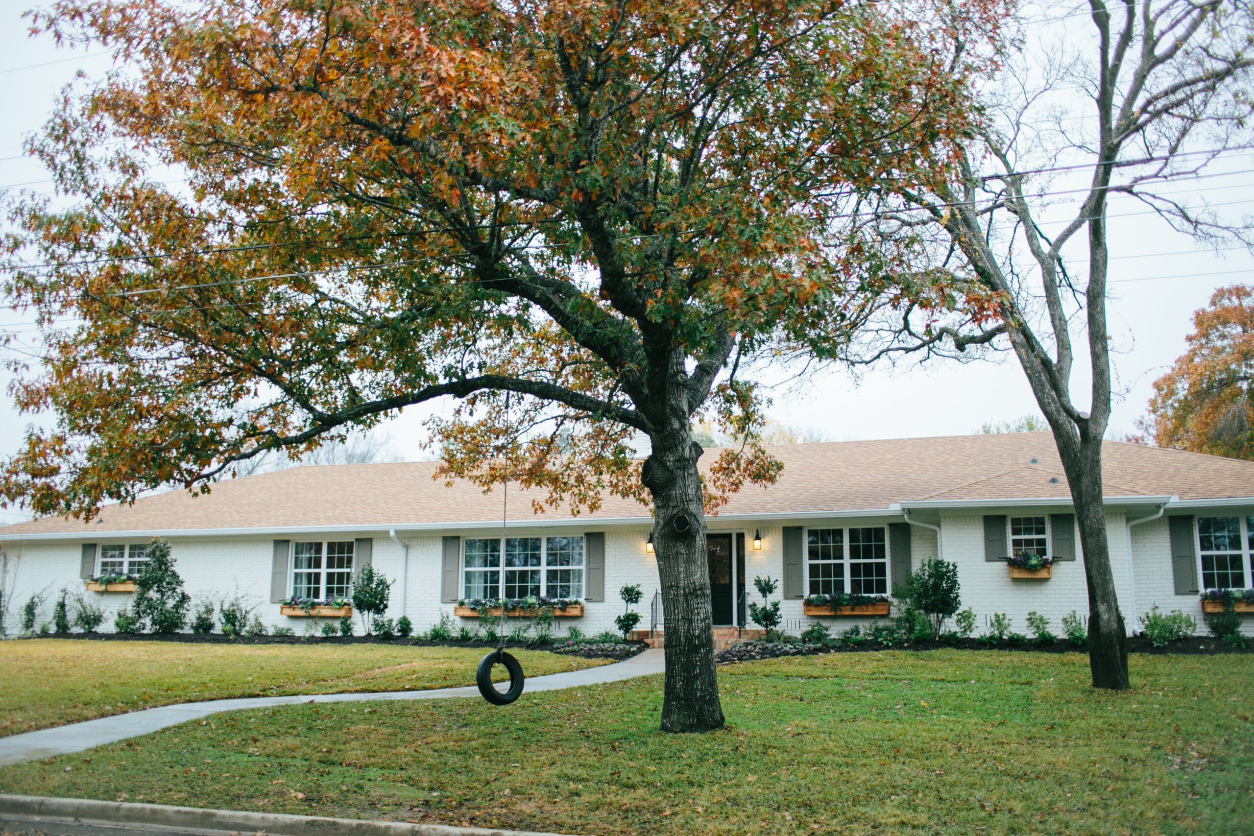 Magnoliass image