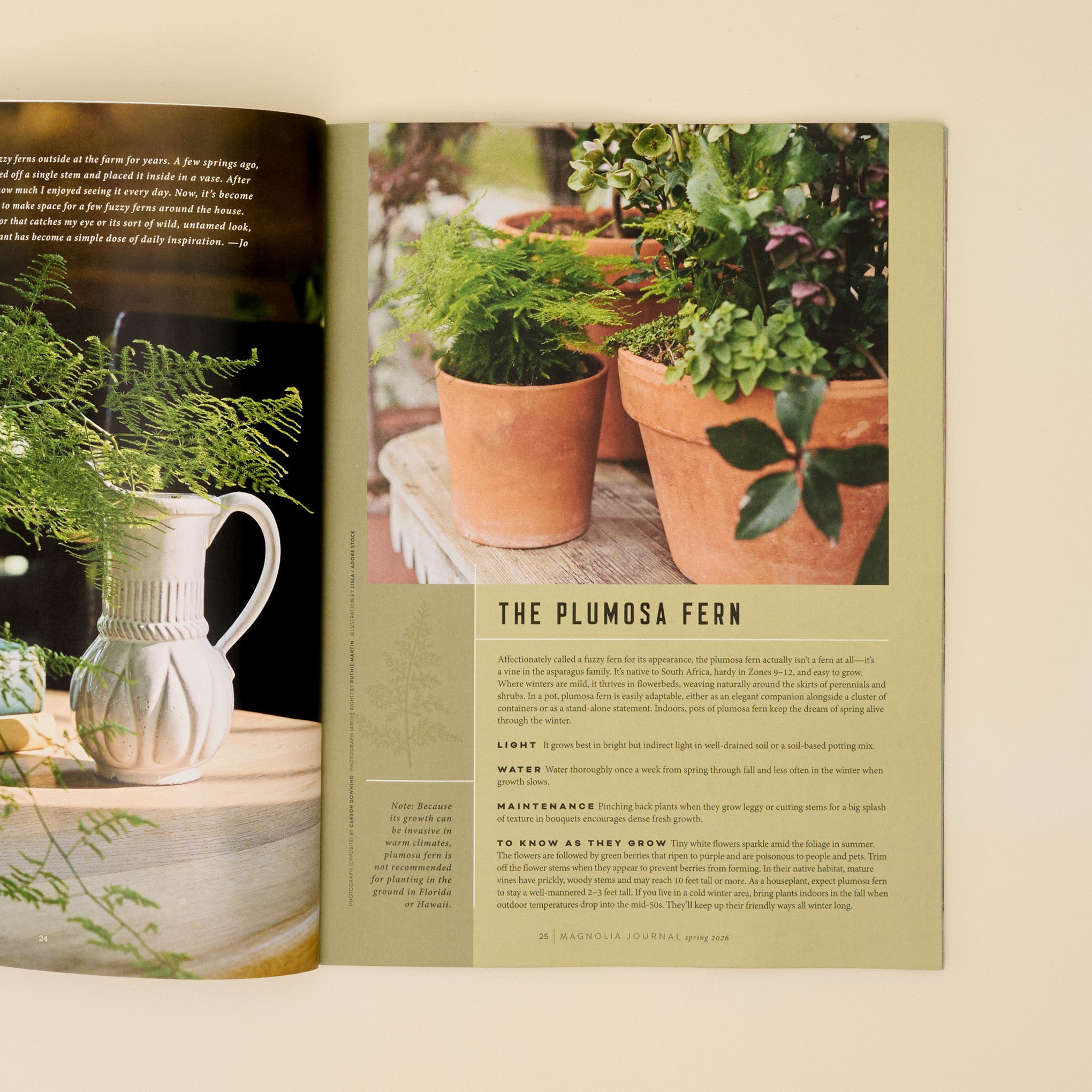 Magnoliass Journal Spring 2026 page featuring potted plants