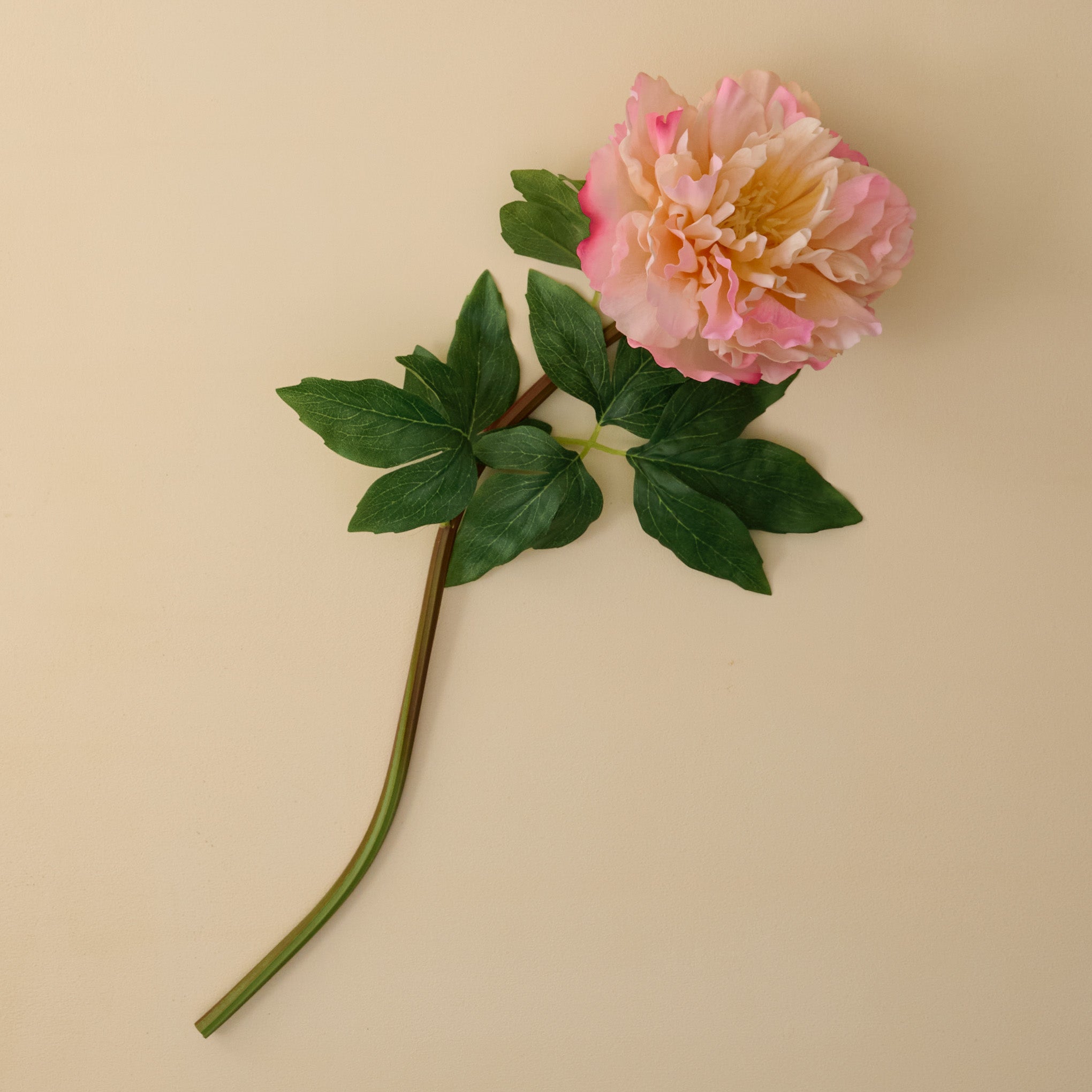 Real Touch Peach Peony Stem
