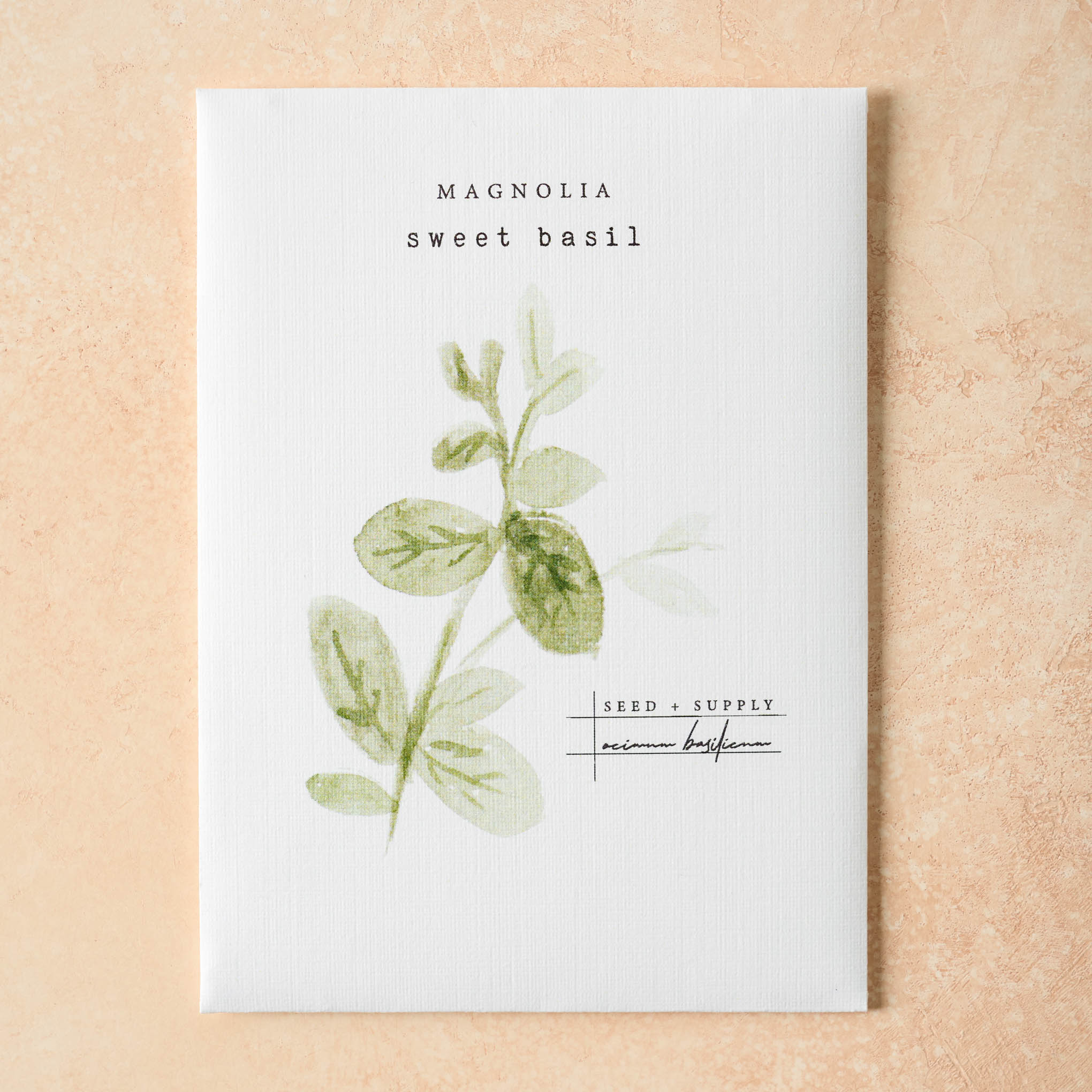 Watercolor Magnoliass Seeds sweet basil