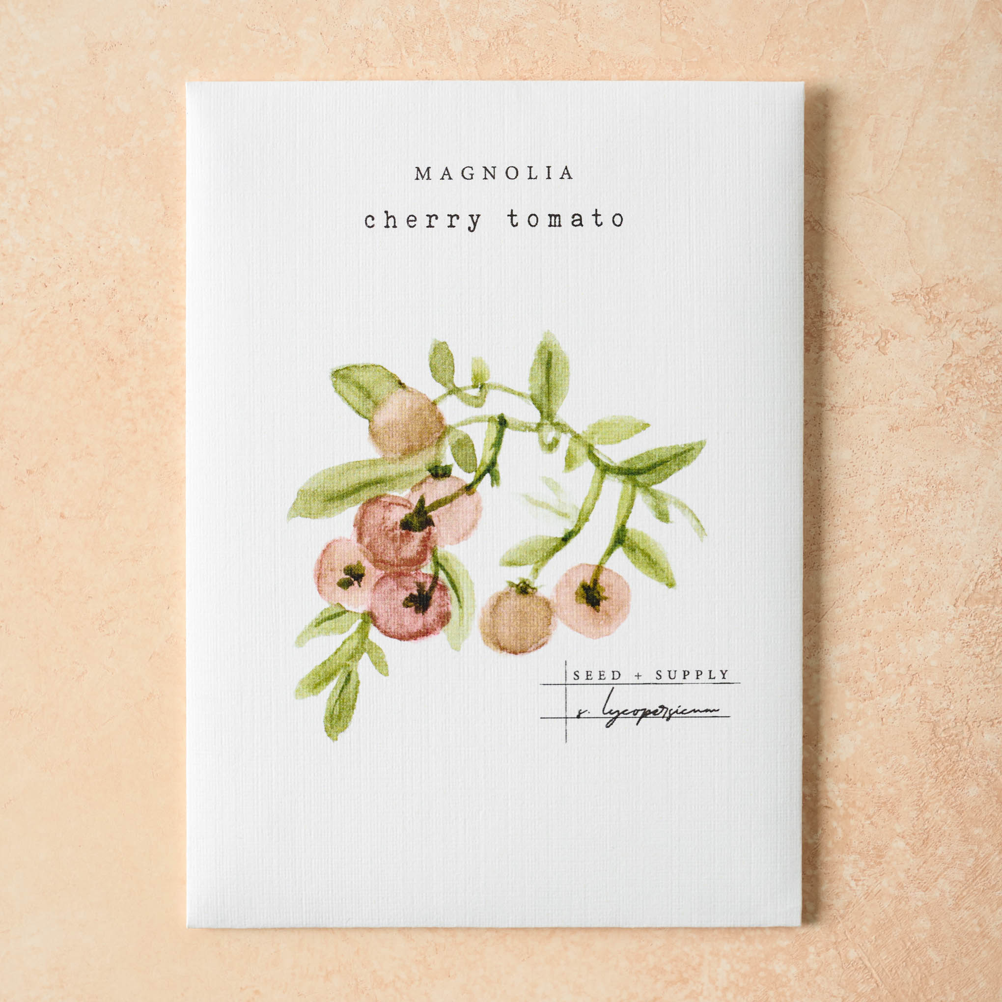 Watercolor Magnoliass Seeds cherry tomato