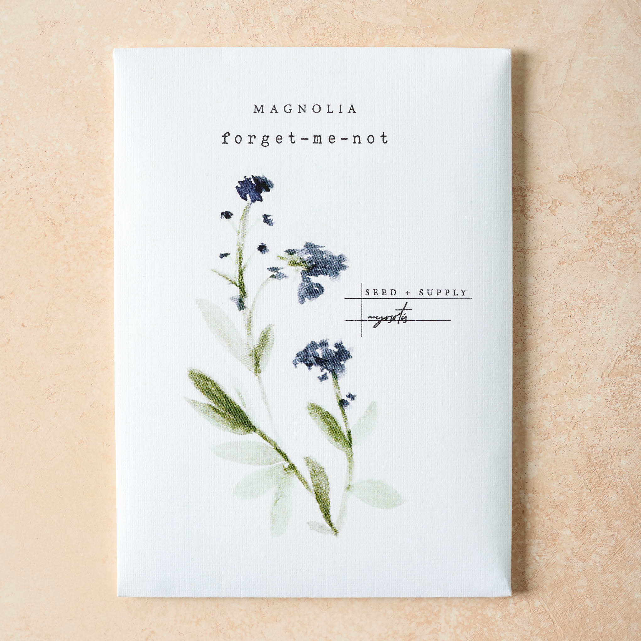 Watercolor Magnoliass Seeds forget-me-not