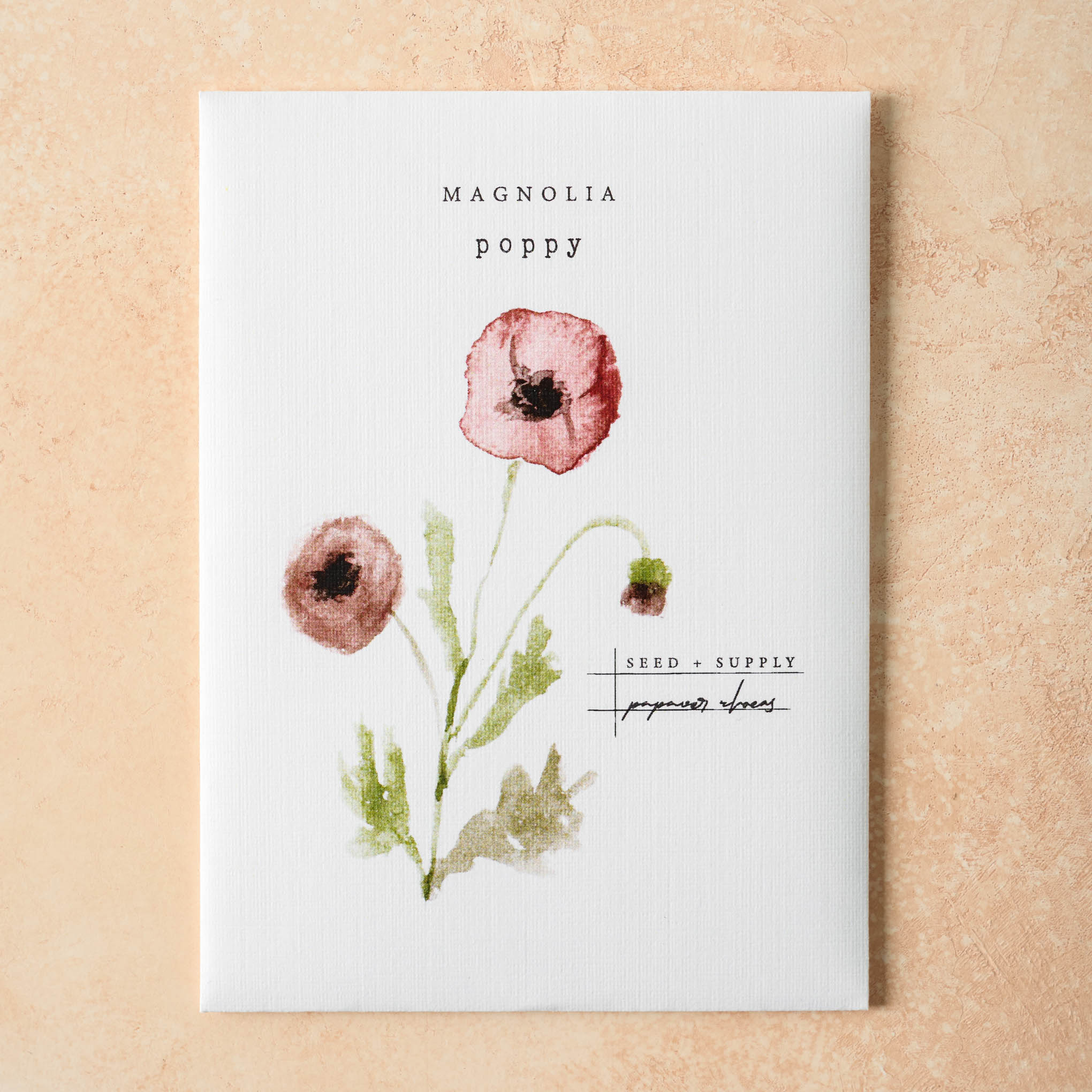 Watercolor Magnoliass Seeds poppy