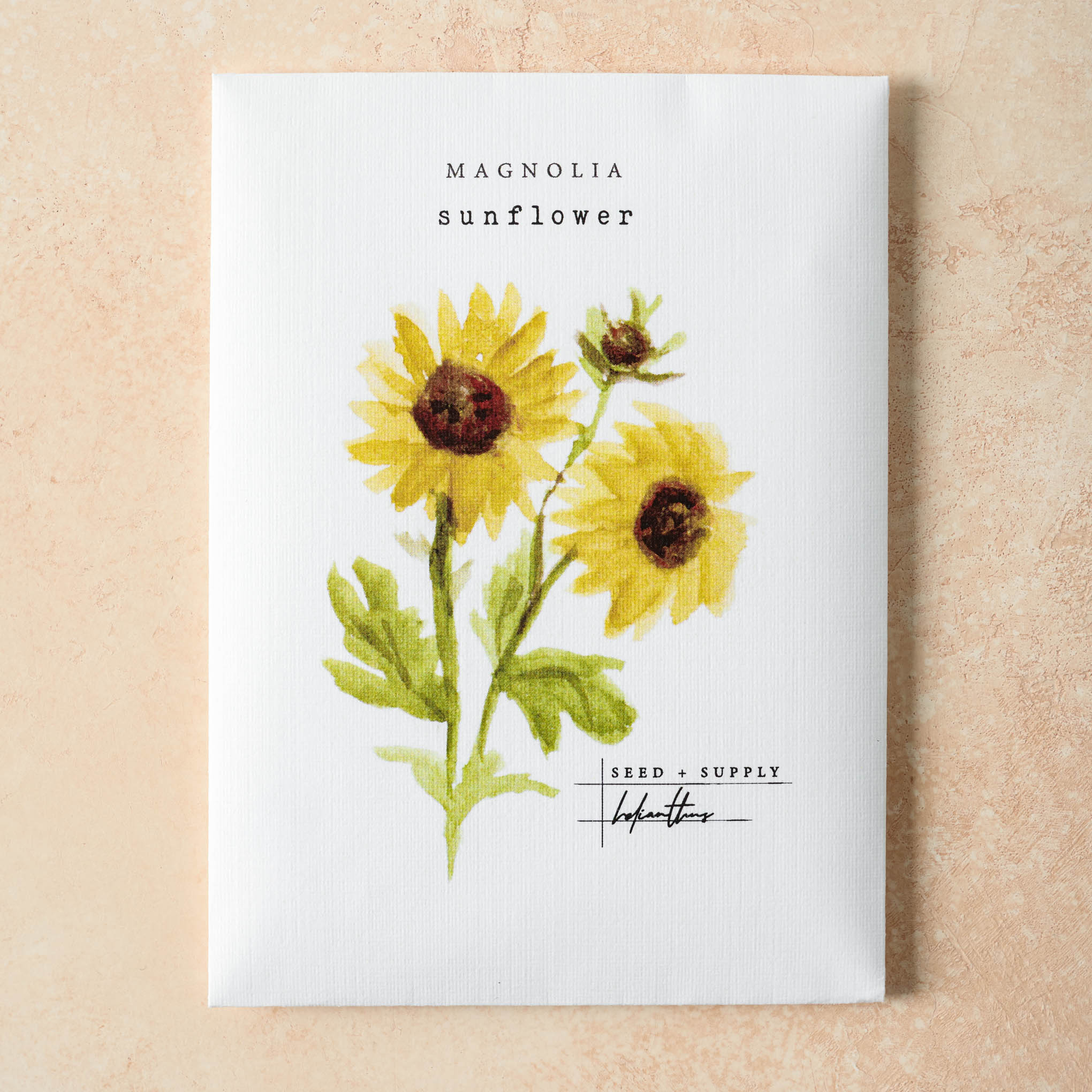 Watercolor Magnoliass Seeds sunflower