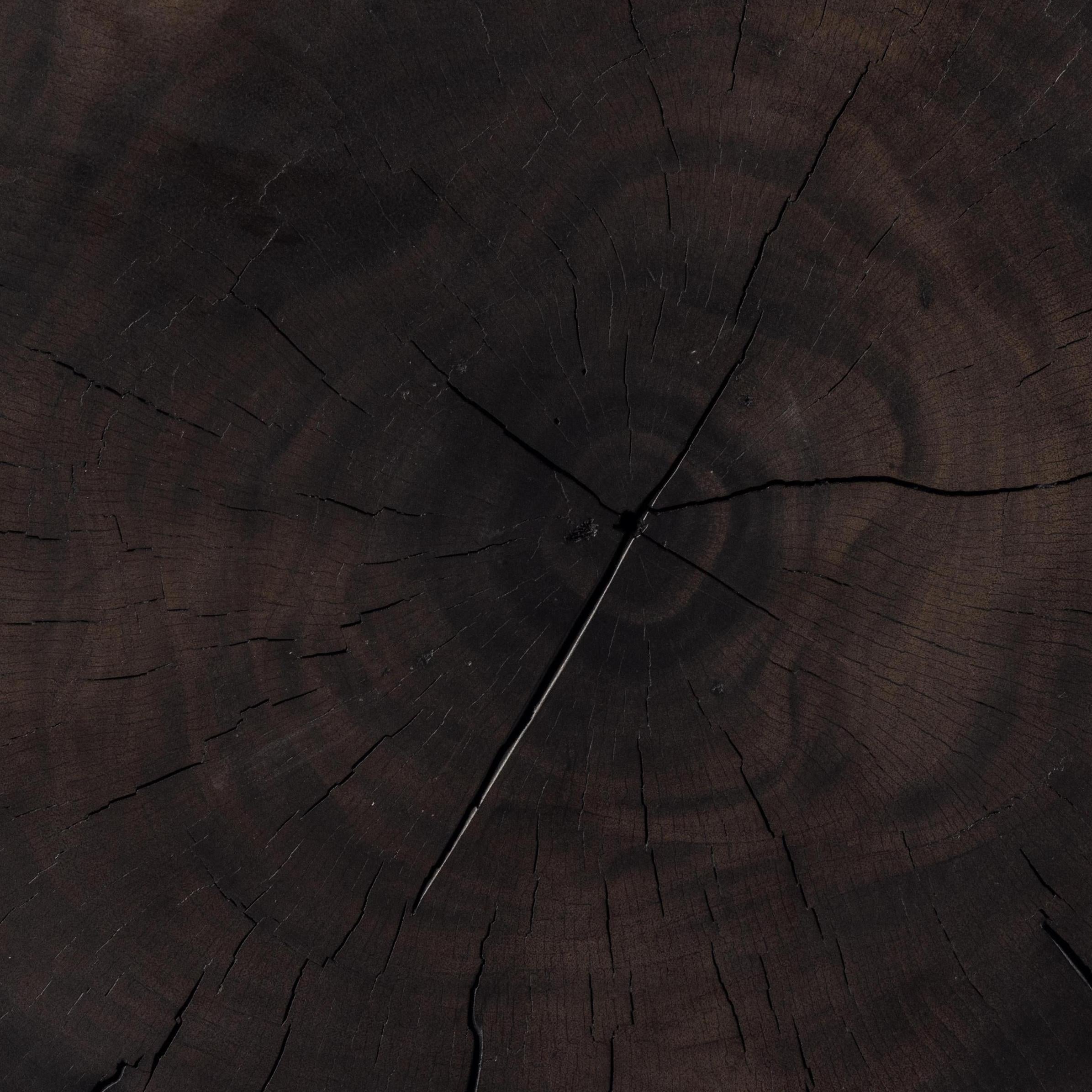 Ferris End Table close up of wood