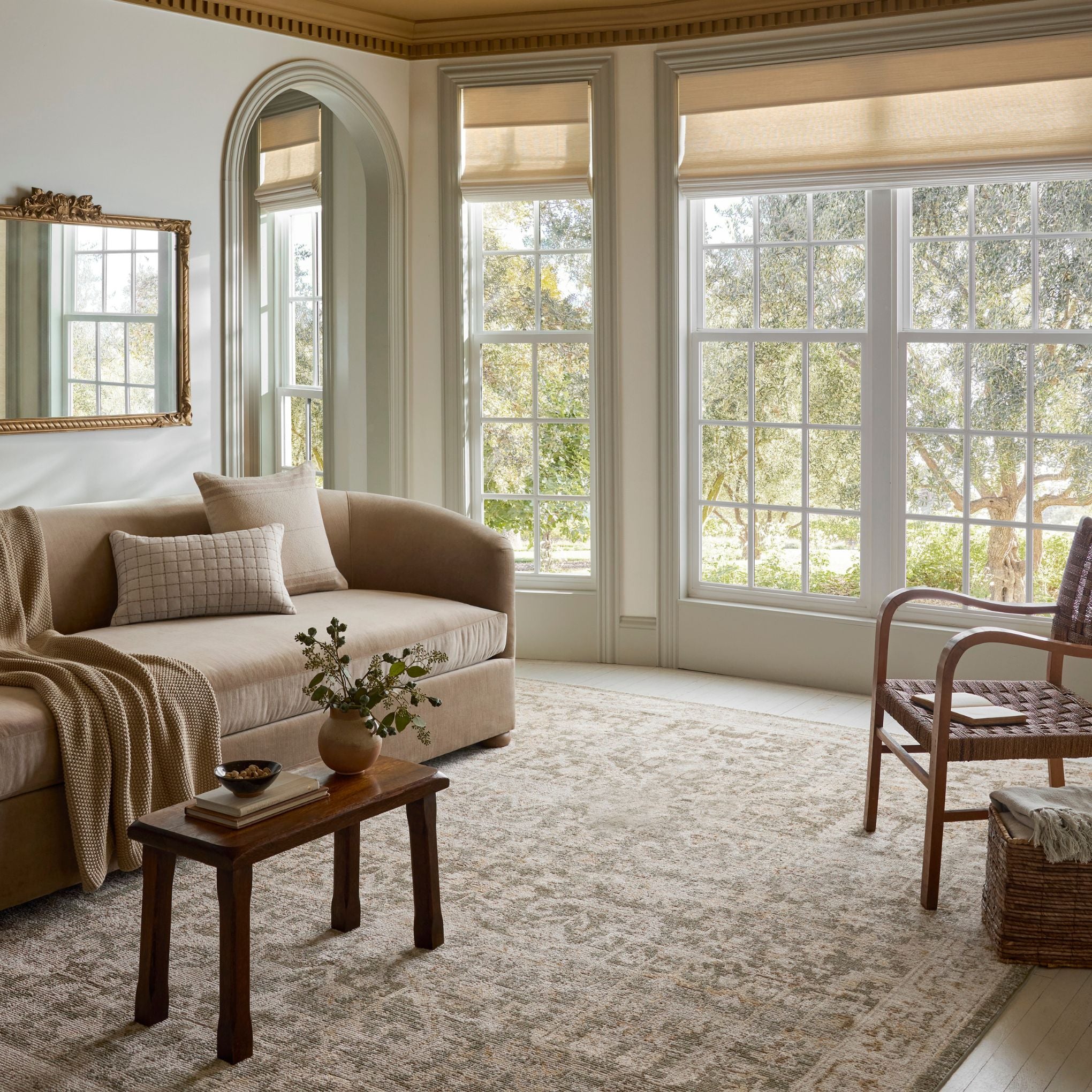 Pace Forrest Natural Rug shown in living room