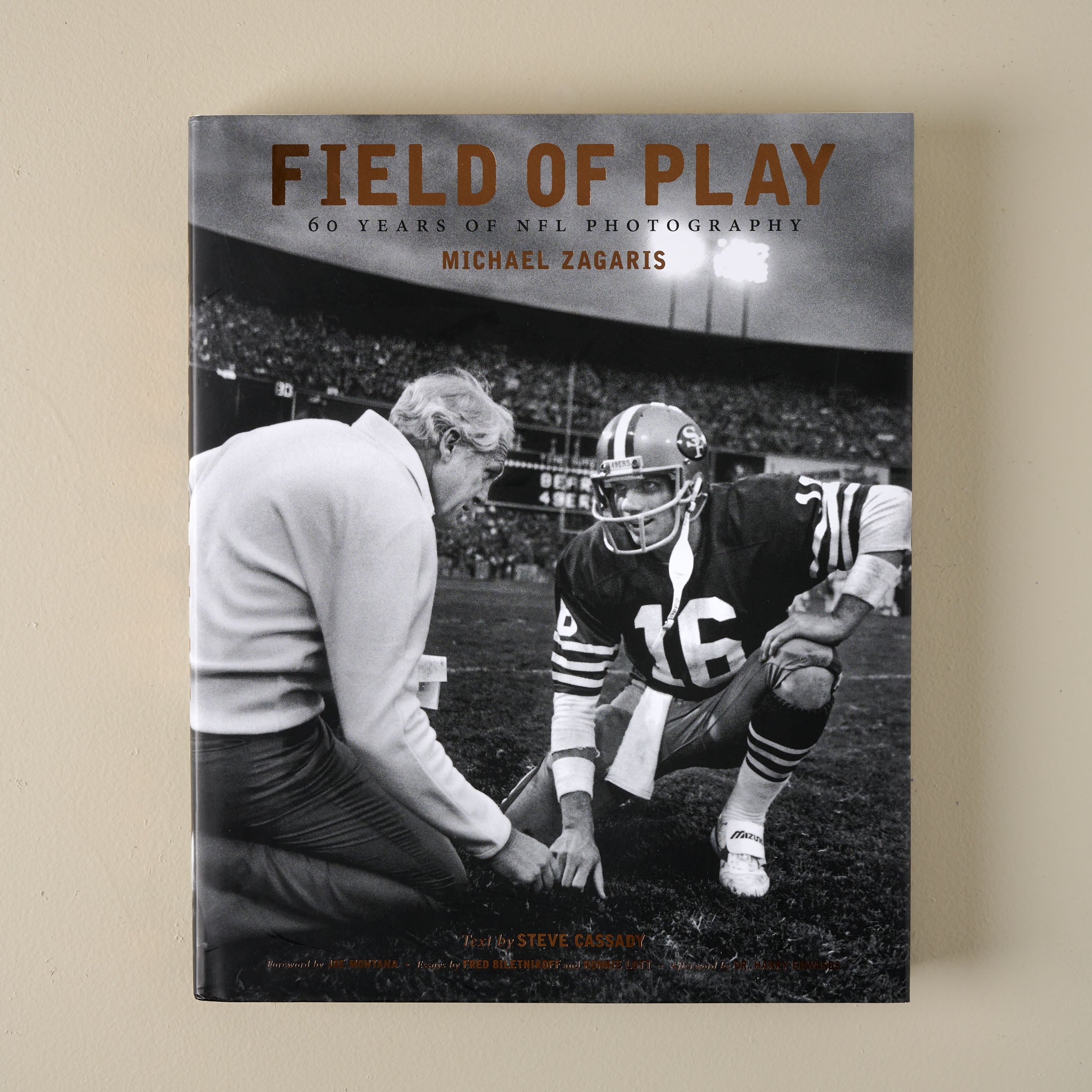 Field of Play: 60 Years of NFL Photography