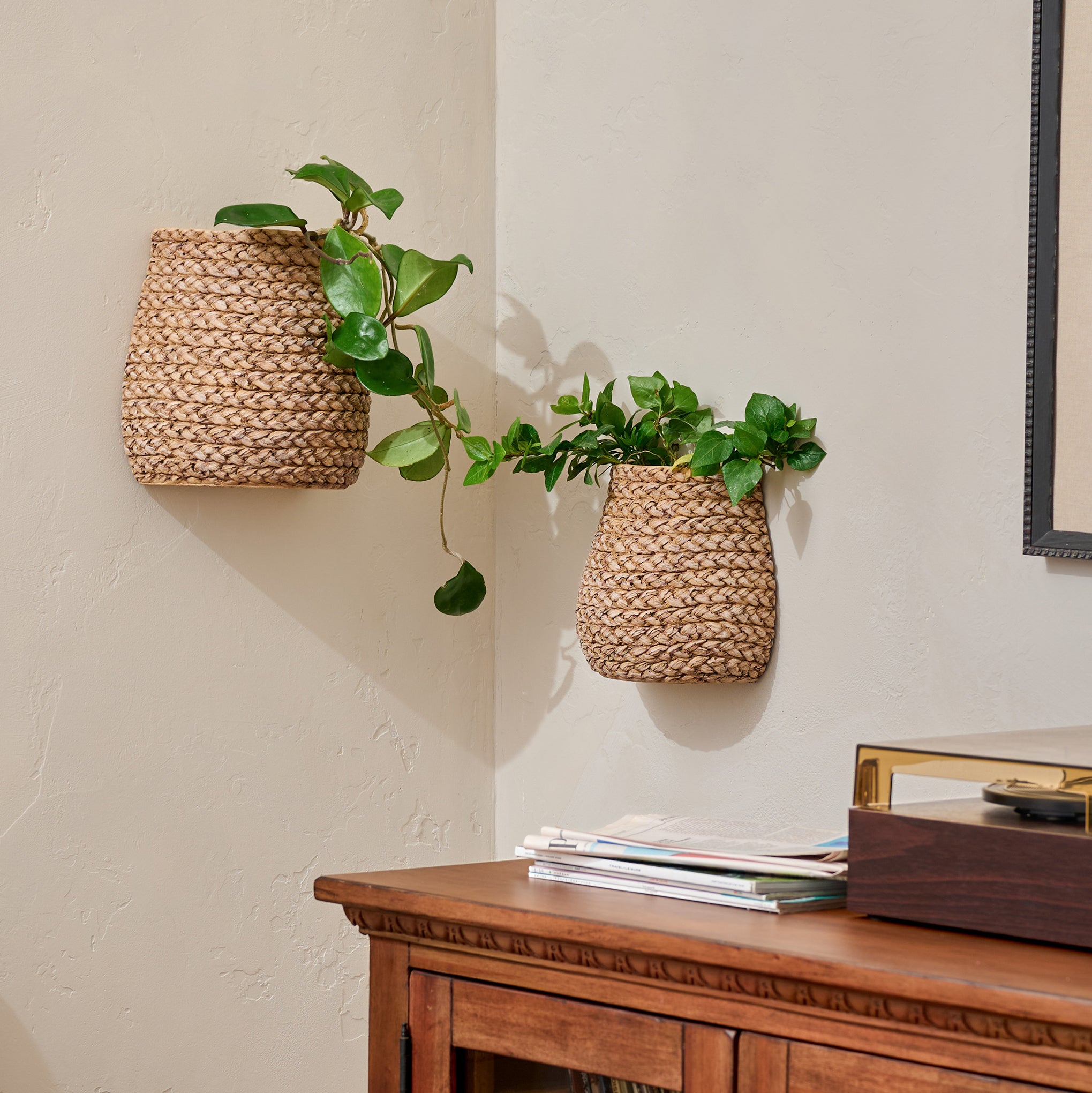 Tucker Woven Wall Planters shown with plants