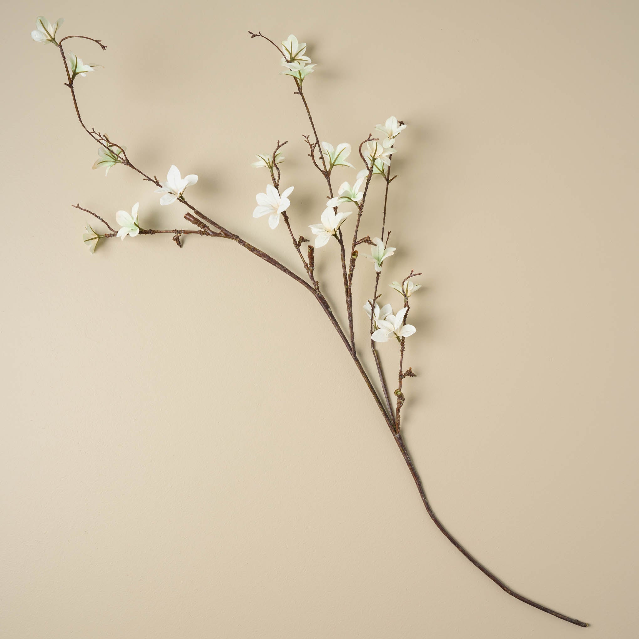 White Magnoliass Bloom Spray