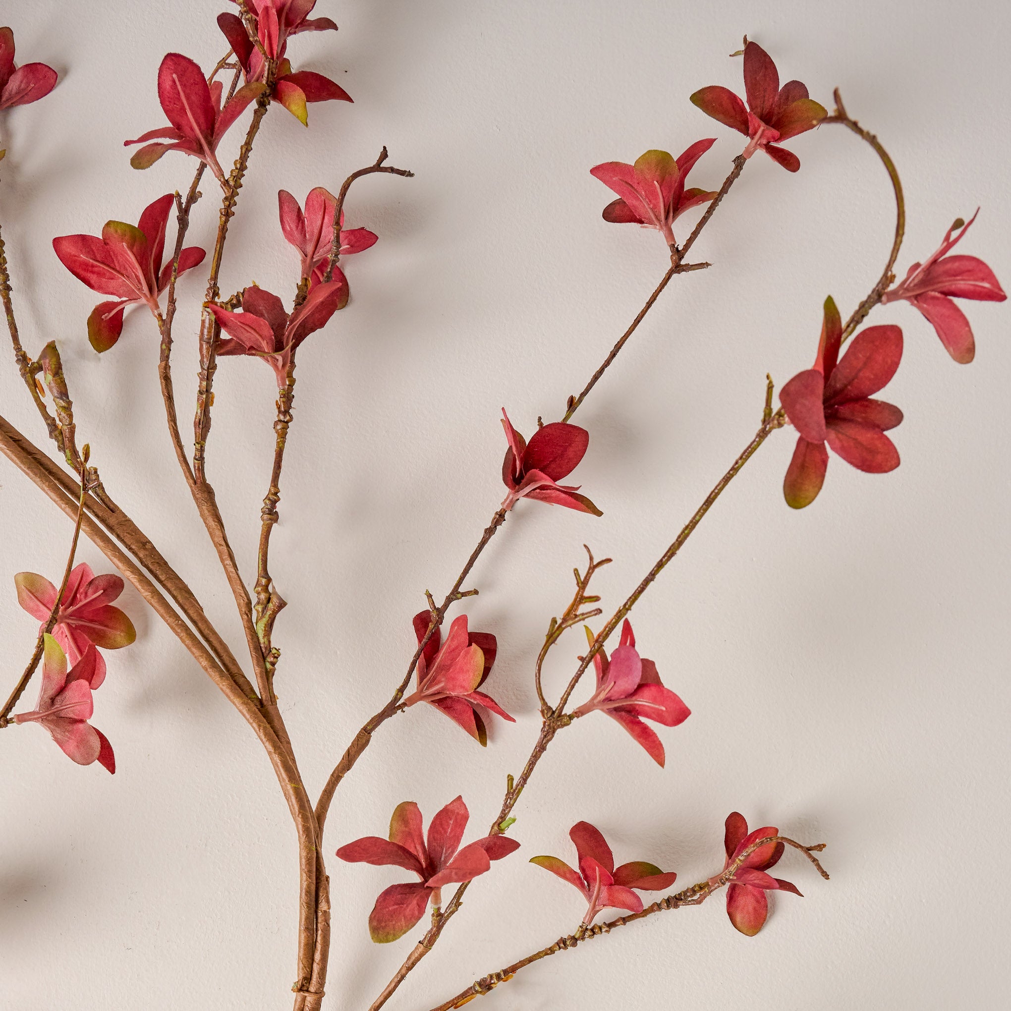 Large Magnoliass Bloom Spray shown up close