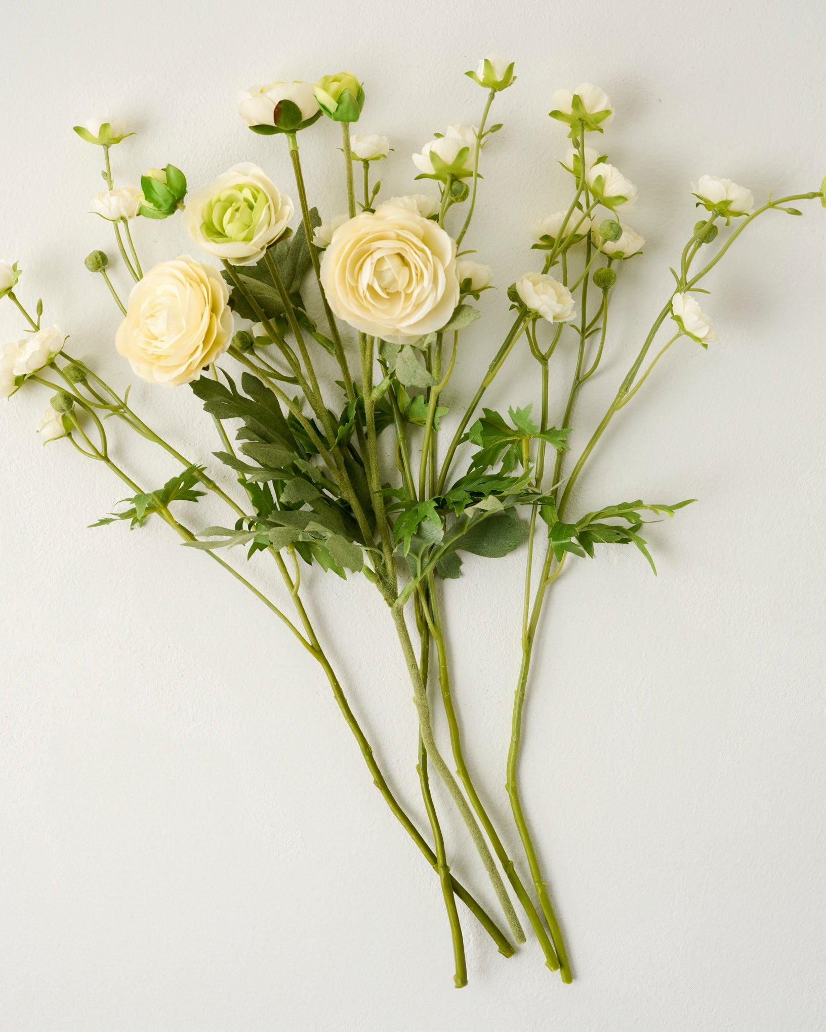 White Ranunculus Bloom Bundle