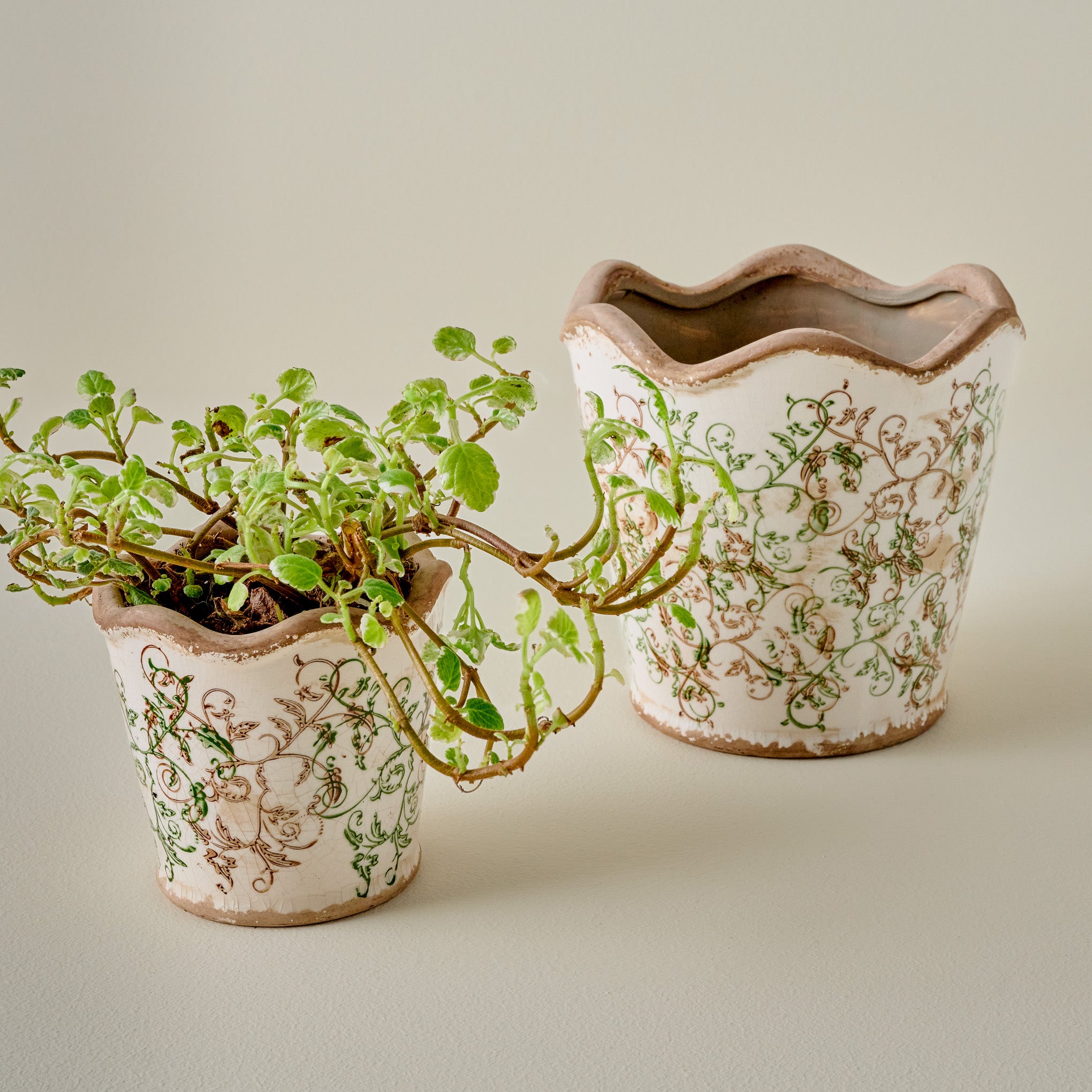 Green Scalloped Distressed Planters