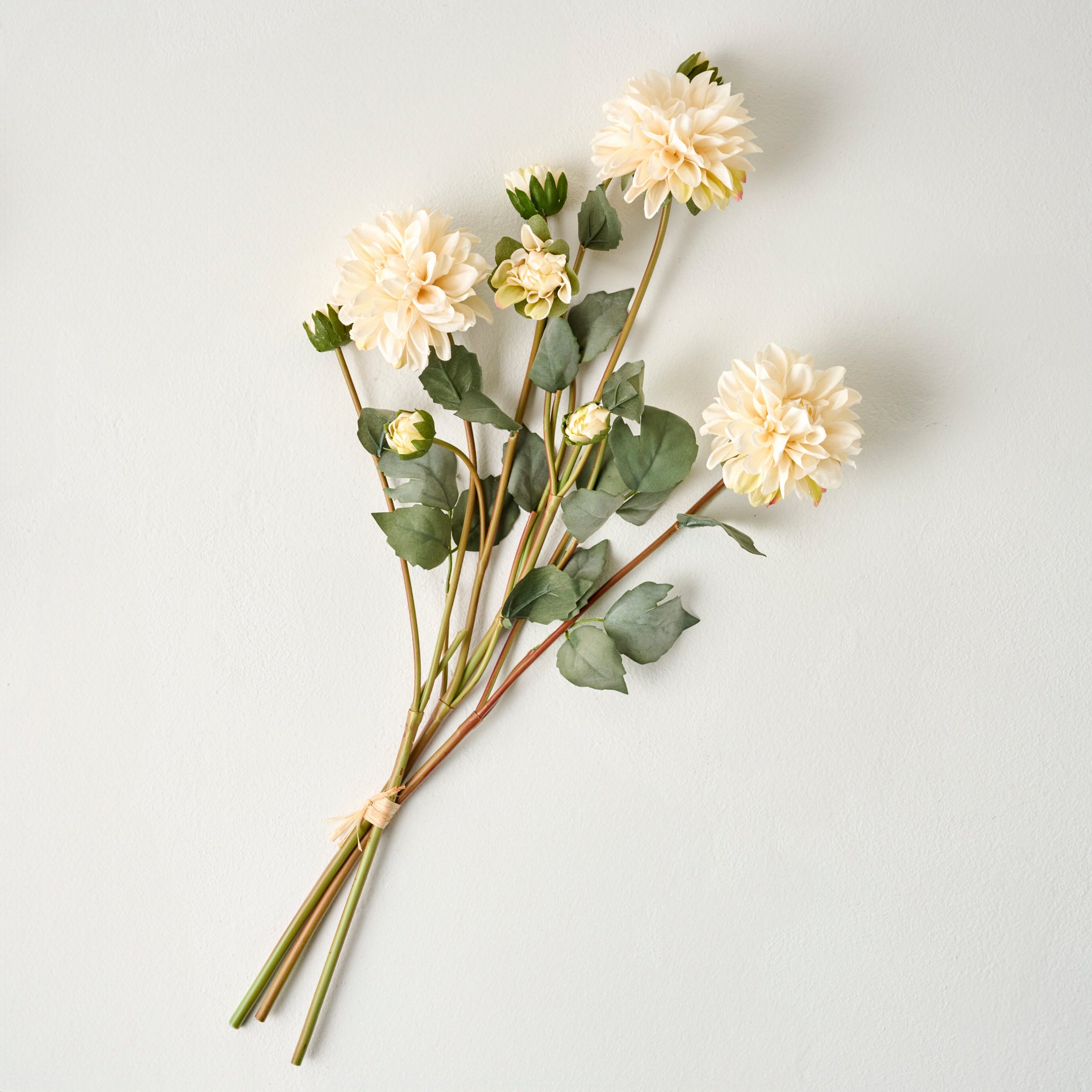White Dahlia Bloom Bundle