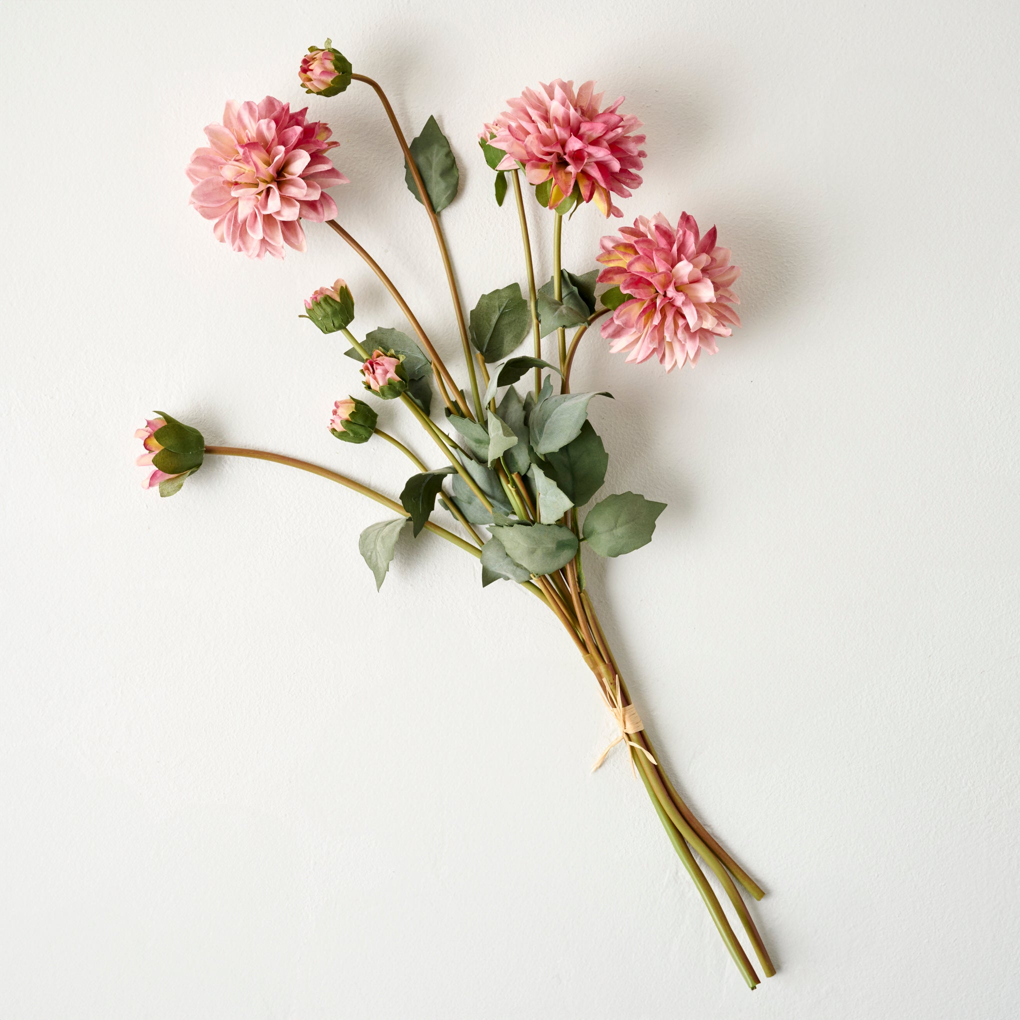 Pink Dahlia Bloom Bundle