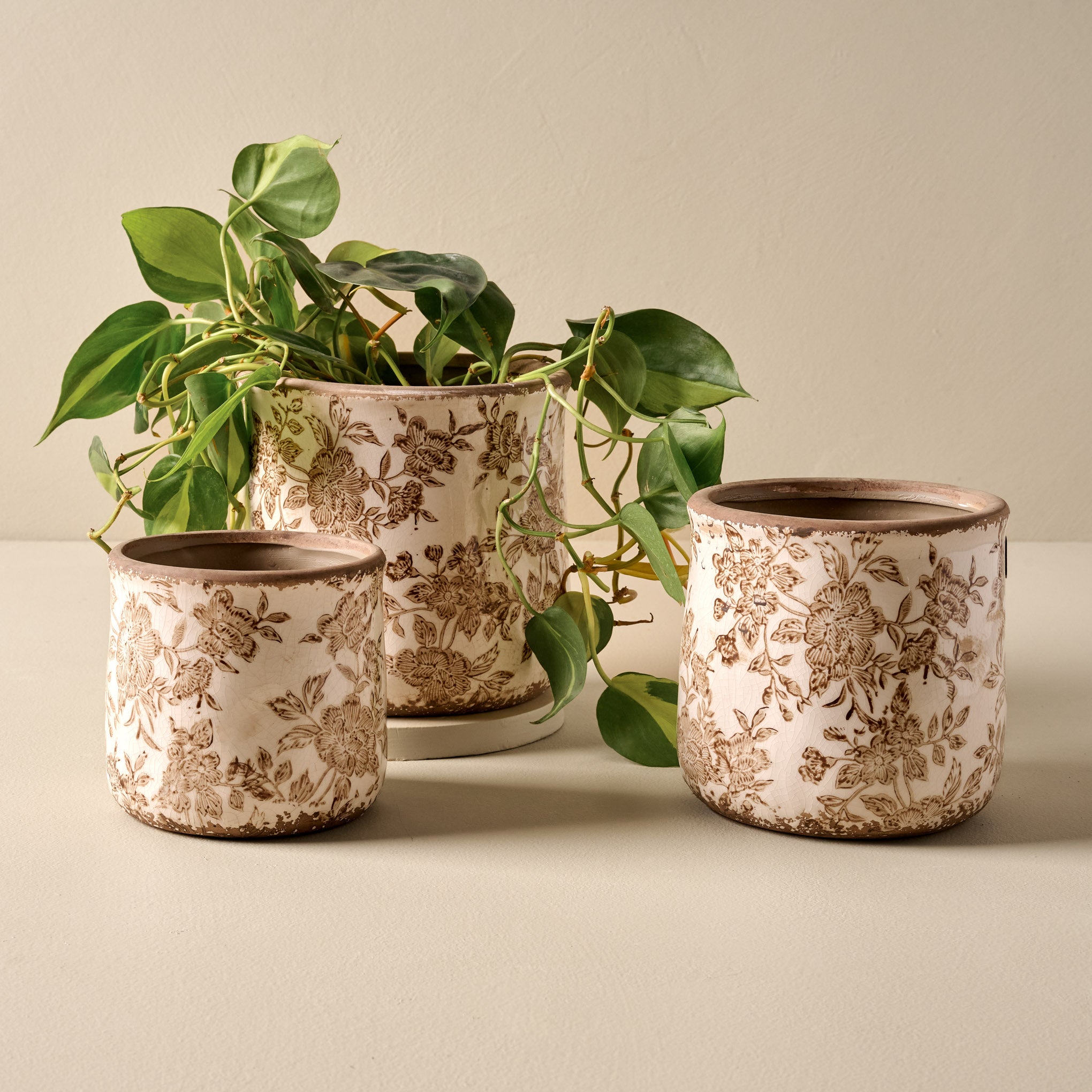 Small, Medium, and Large Brown and White Distressed Planters shown with plant