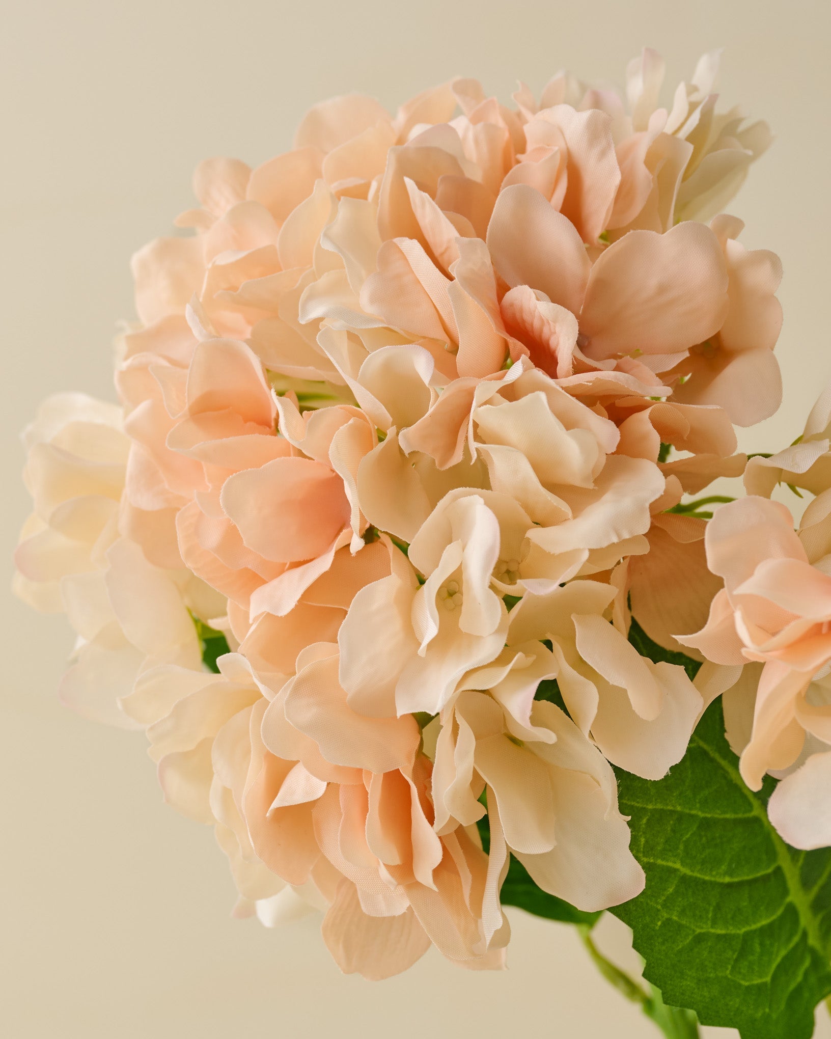Real Touch Peach Hydrangea Bundle close up view