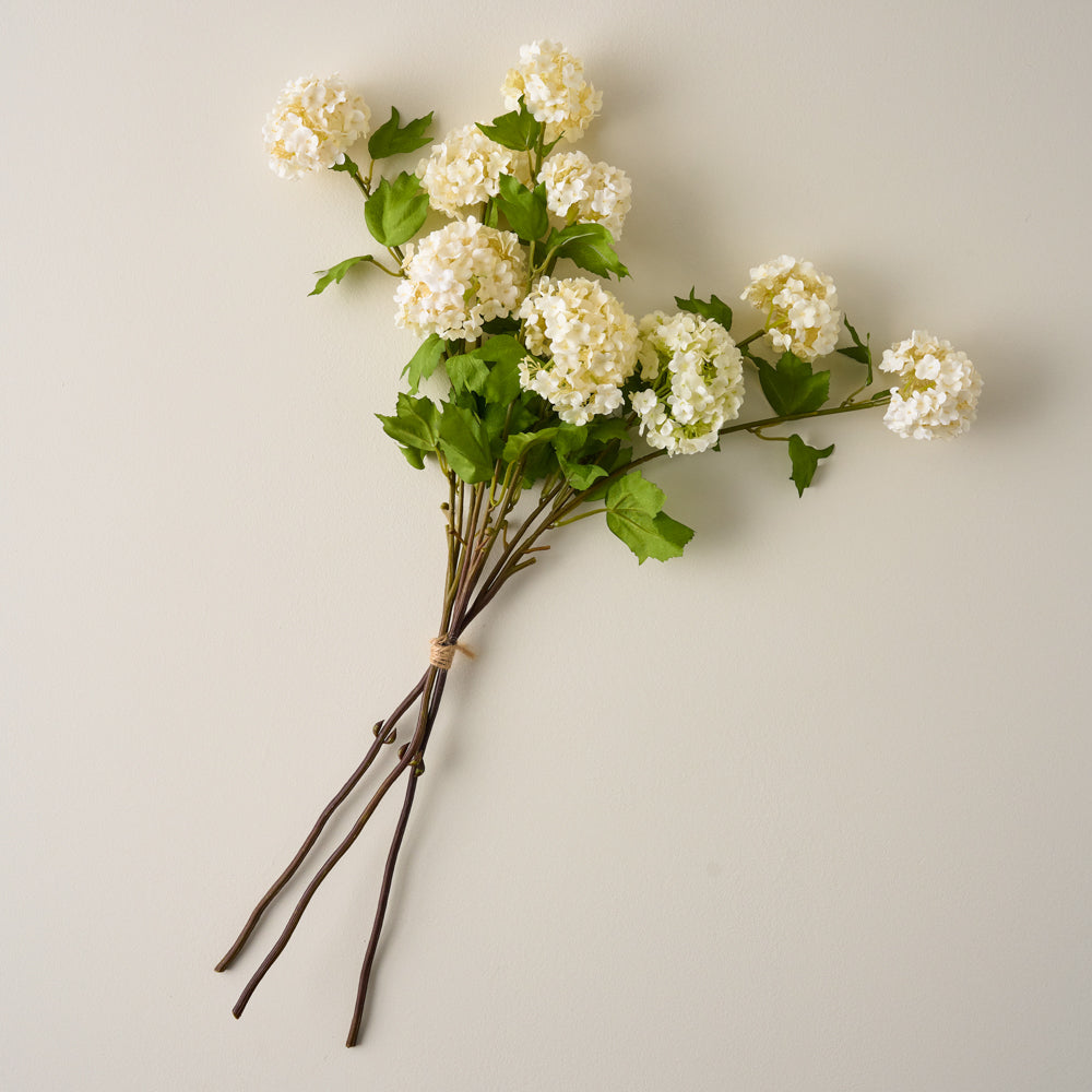 Snowball Hydrangea Bundle