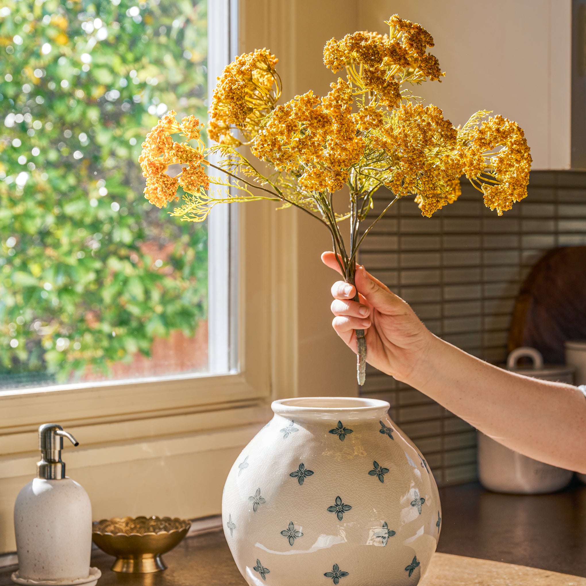 a hand holds a Yellow Queen Anne Lace Bush  stem over a vase