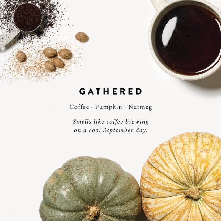 Magnoliass gathered candle scent notes of coffee pumpkin and nutmeg