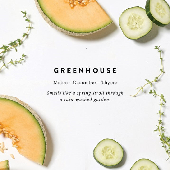 Magnoliass greenhouse candle scent notes melon cucumber and thyme