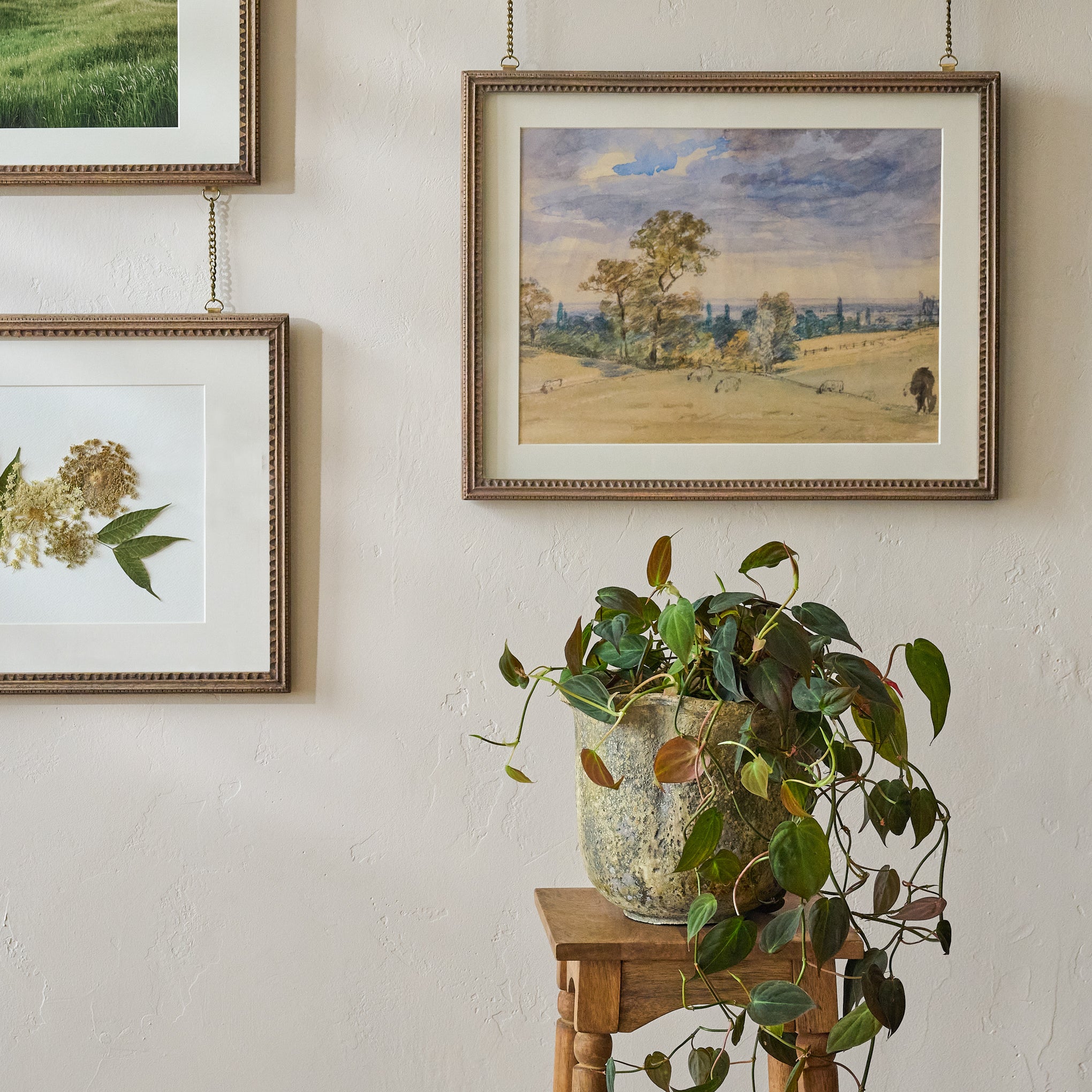 Scalloped Rim Planter shown on plant stand in room
