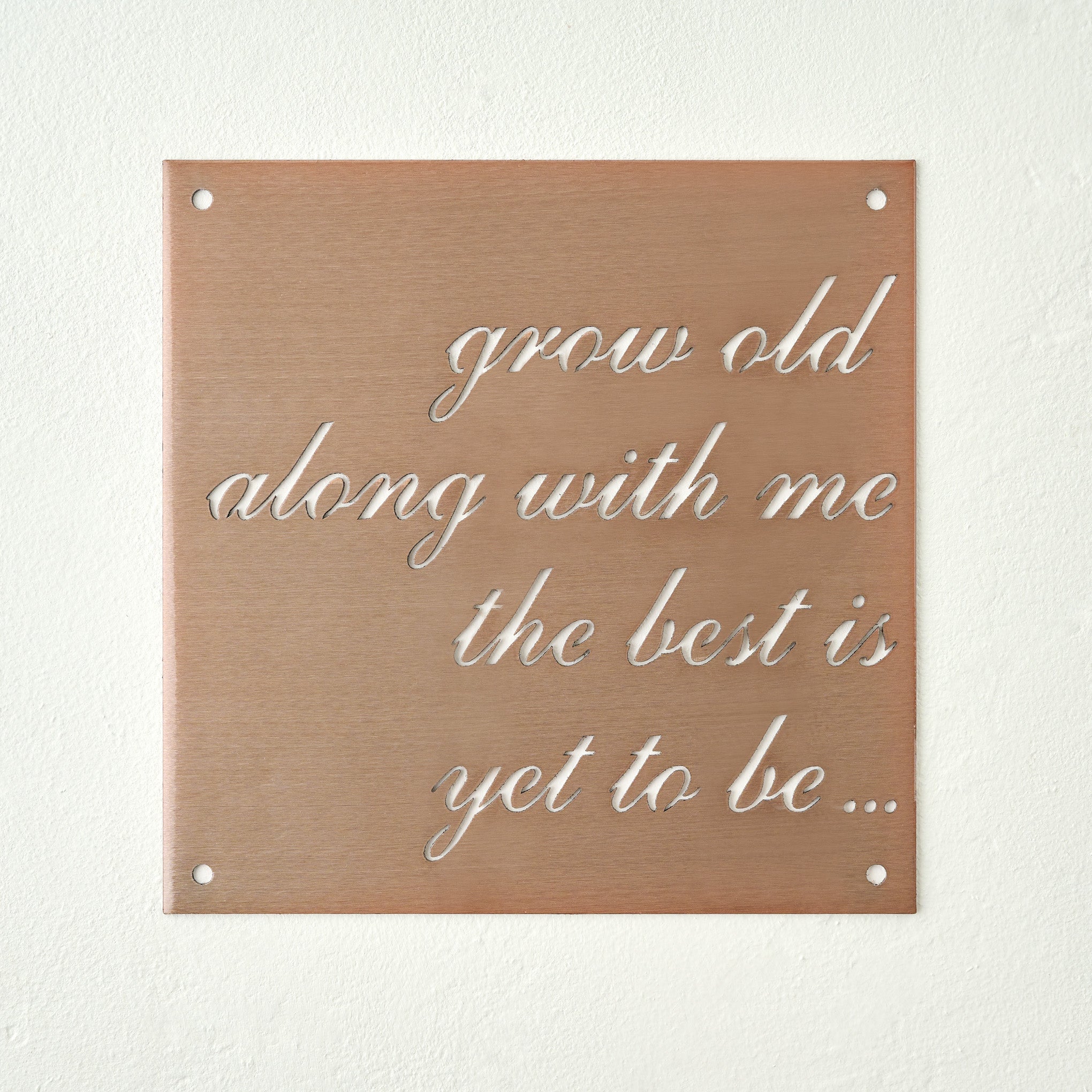 Grow Old Along With Me Sign 