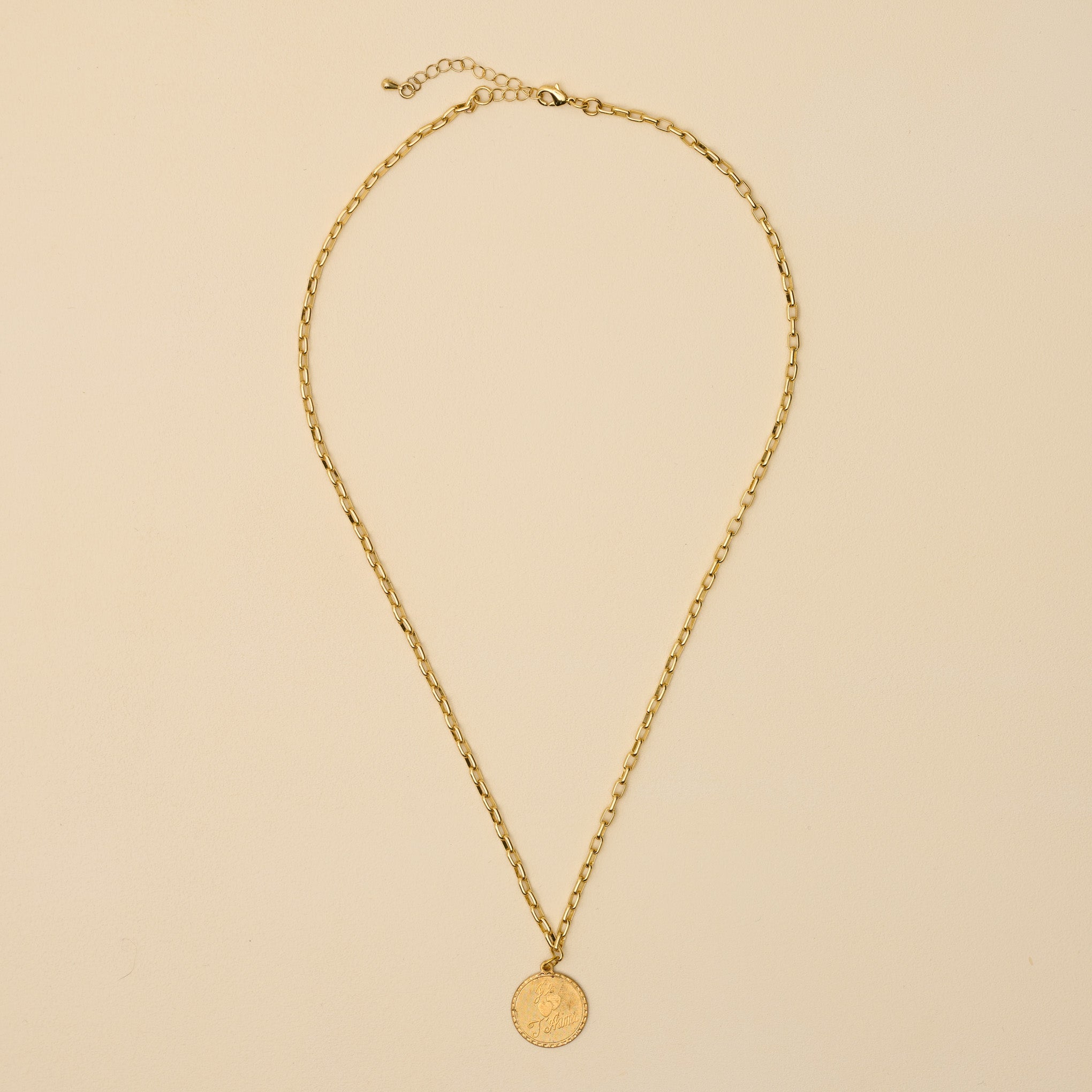 Je T'aime Brass Charm Necklace