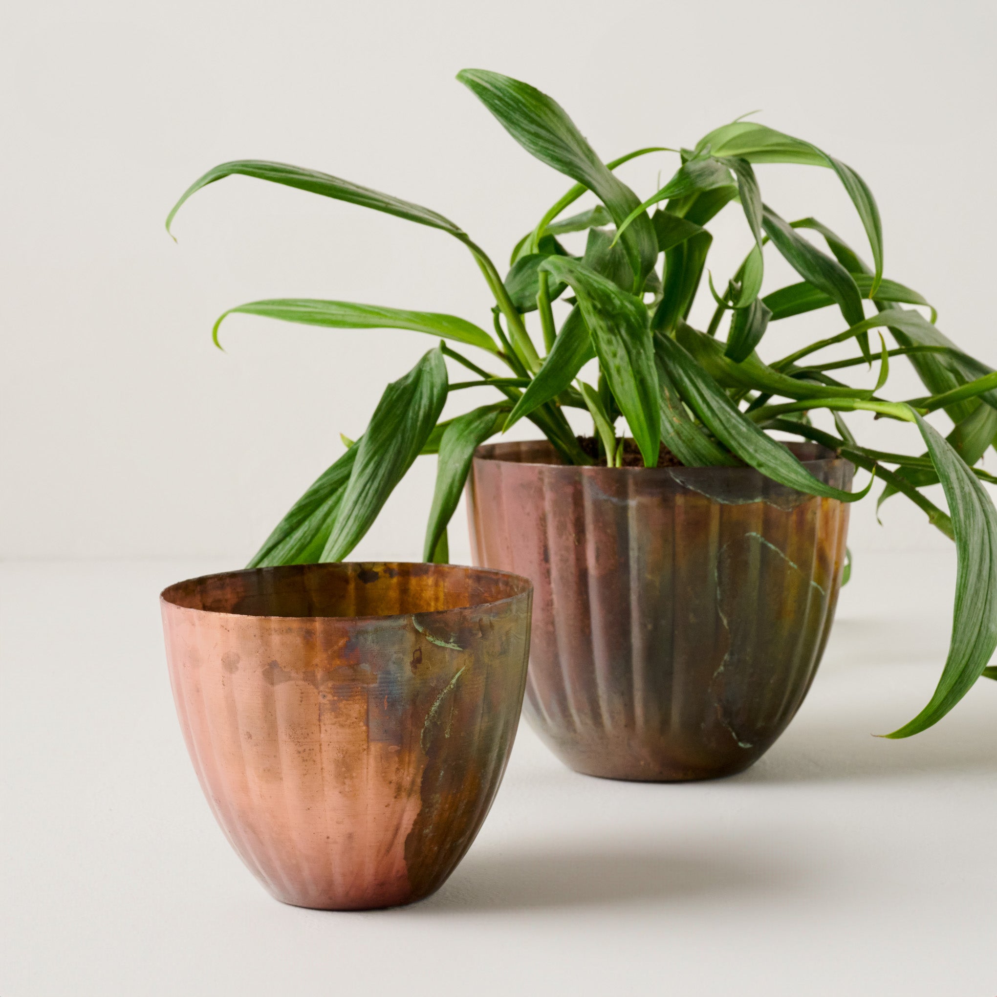 Aged Copper Planters